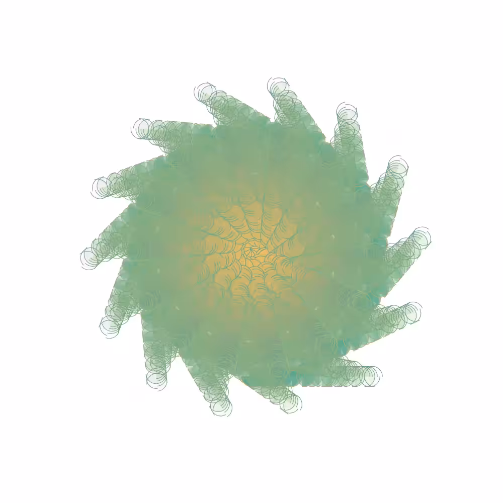 Poppy #211