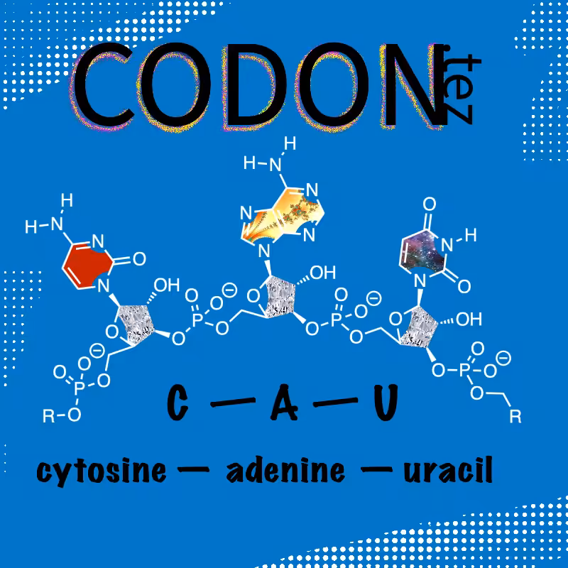 Codon Minter #31