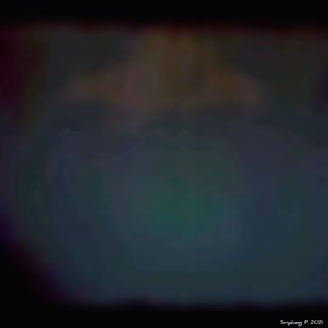 WHALE ON THE SKY [Live the Life of Your Dreams]