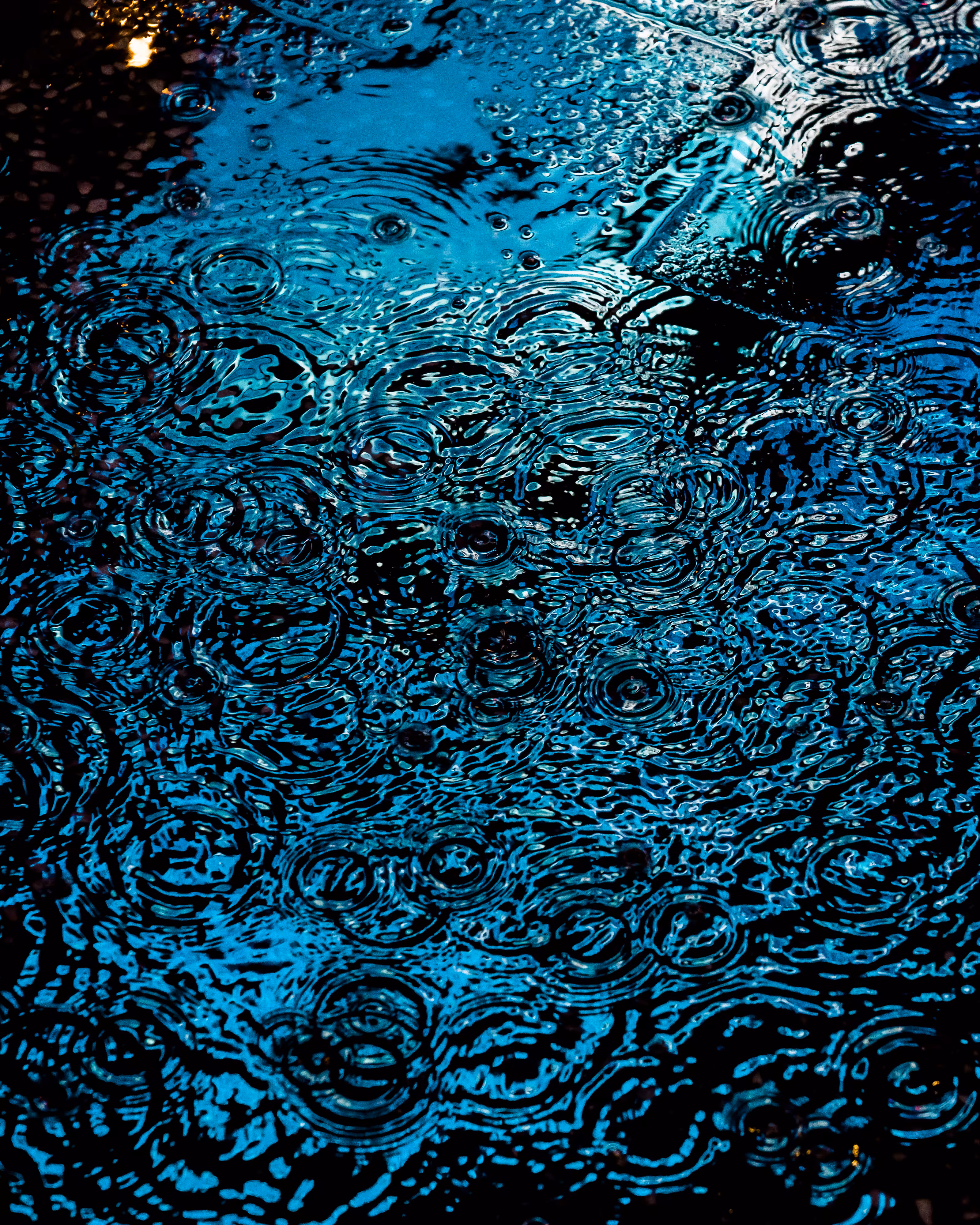 DRIP DROP: DRIP #901