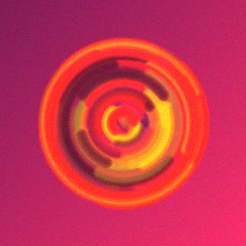 Wisp #983