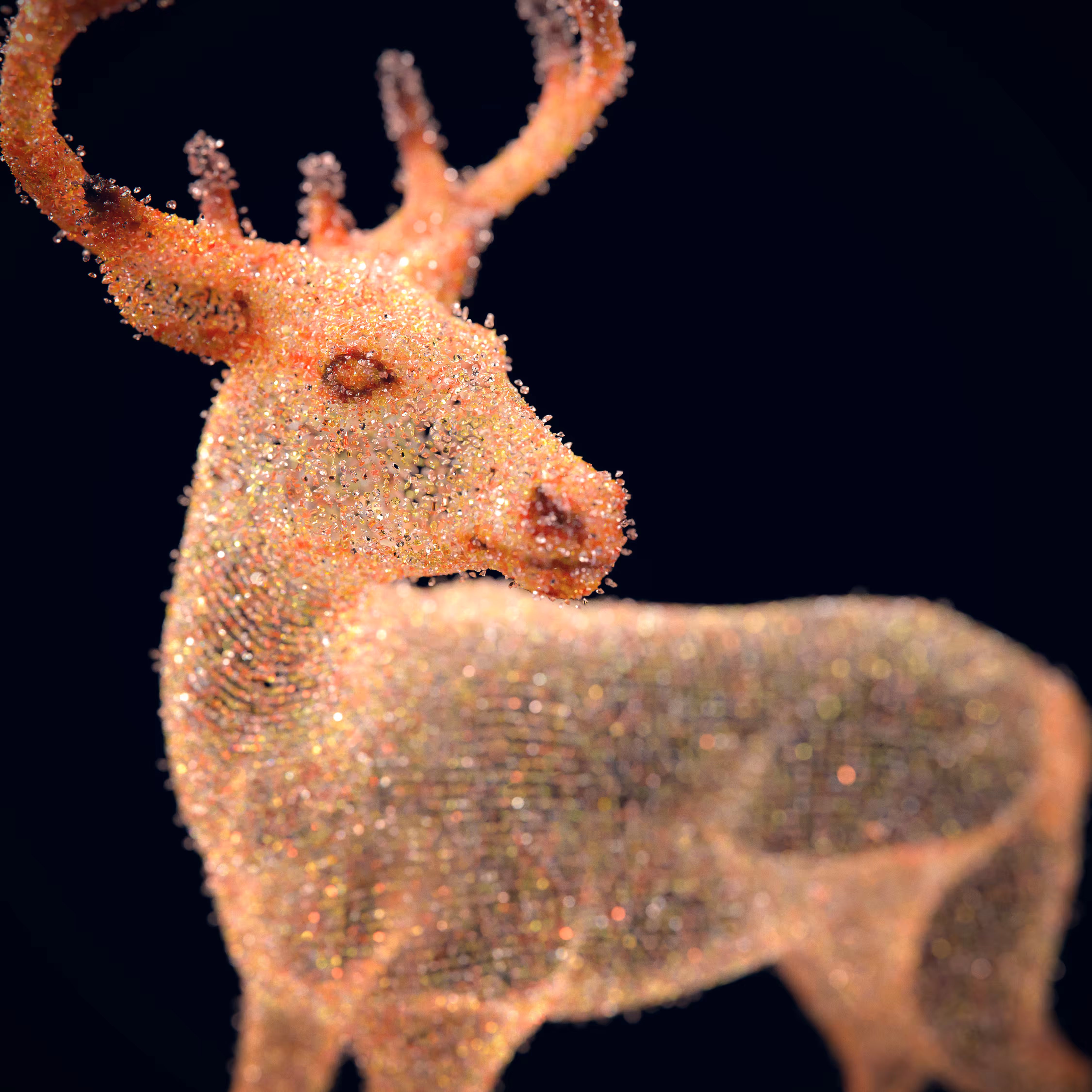 And then as you see like...(#inorganic animals 01)