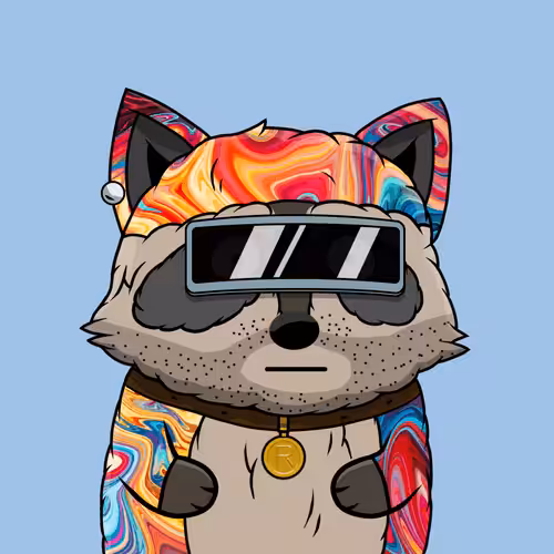 Raccoon #999
