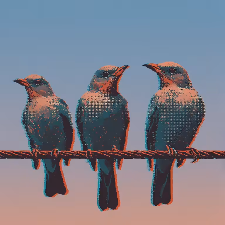 morning birds