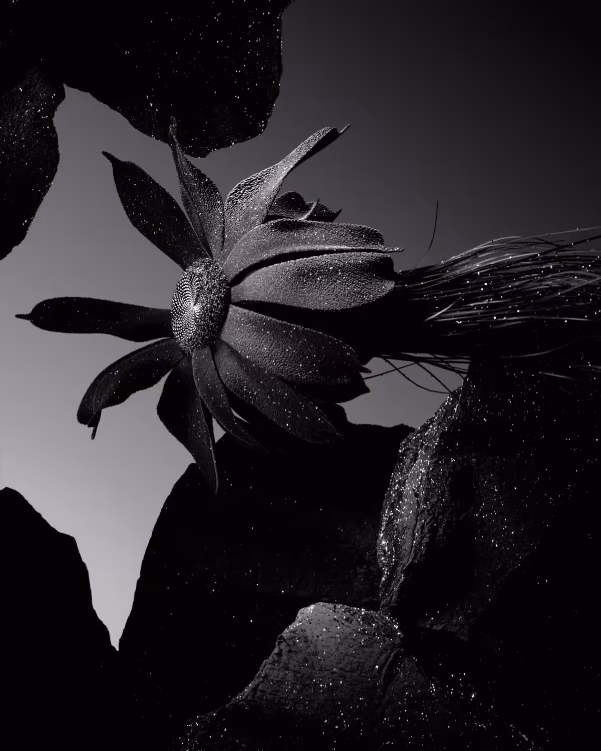 Carbon Fleur