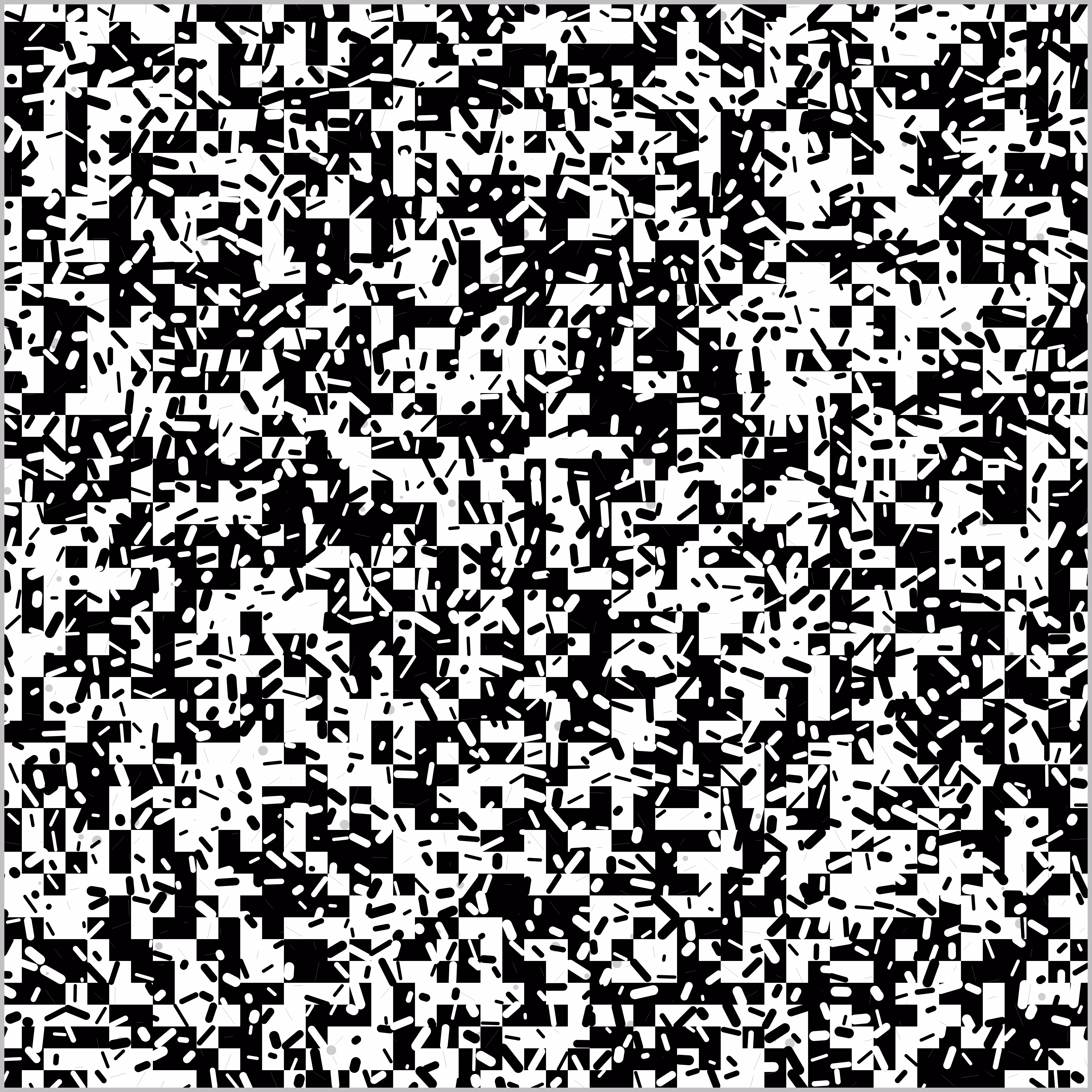 July 29, 2024 #2