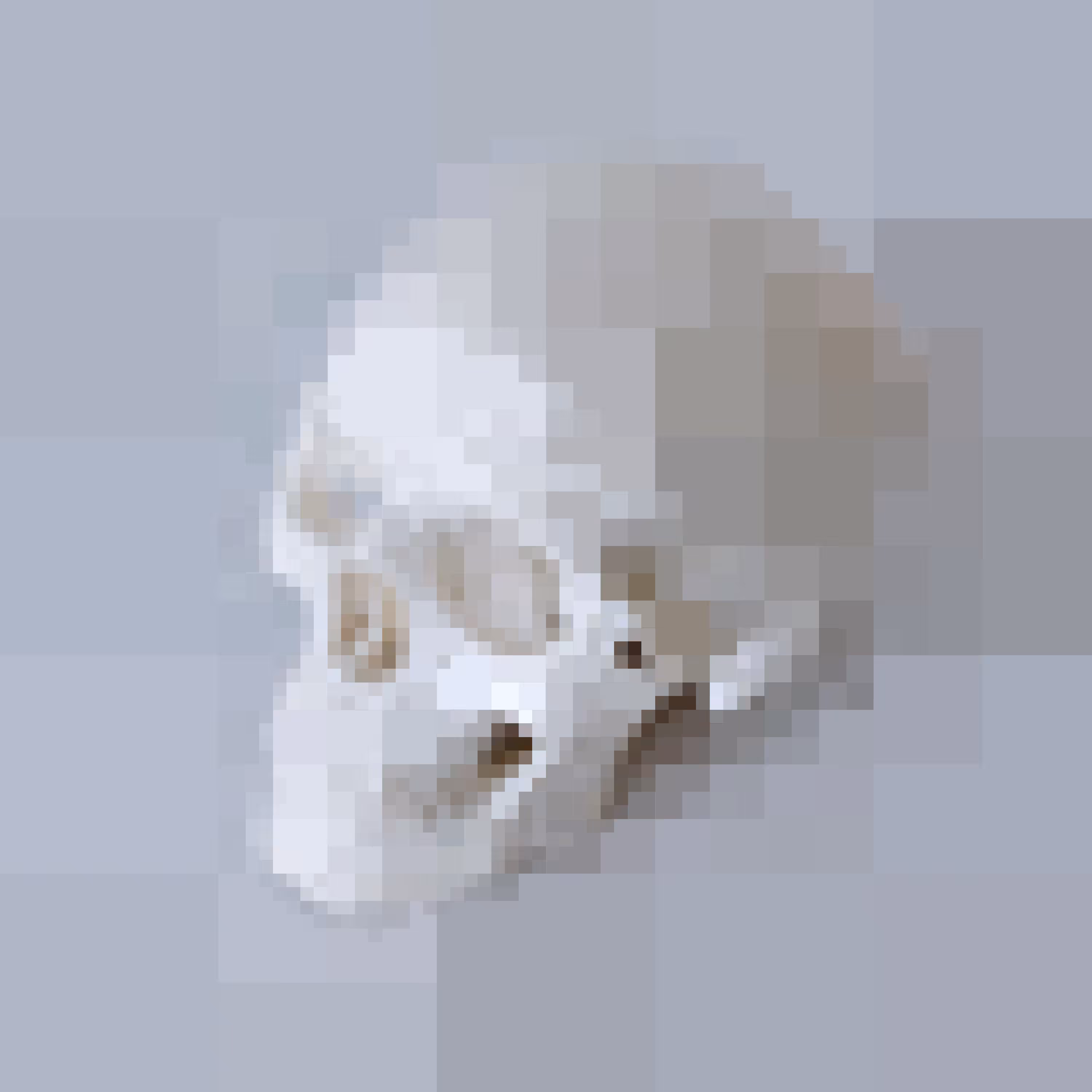 Pixel Skull Vanitas 07