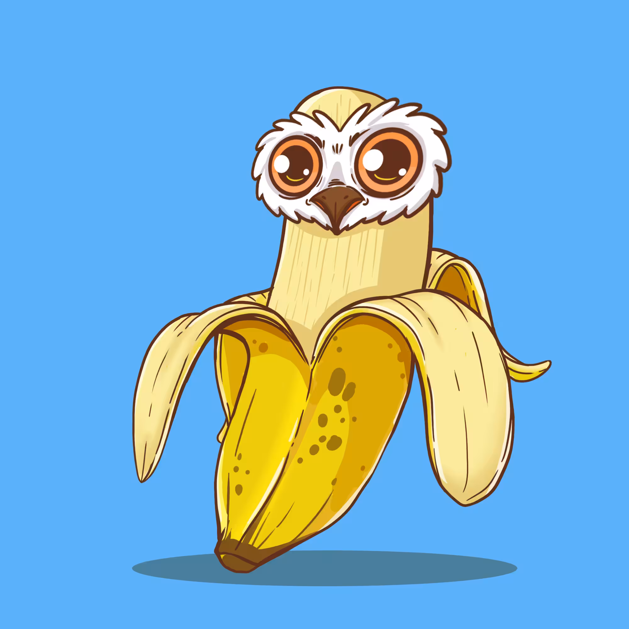 OWL MY FRUITE 11