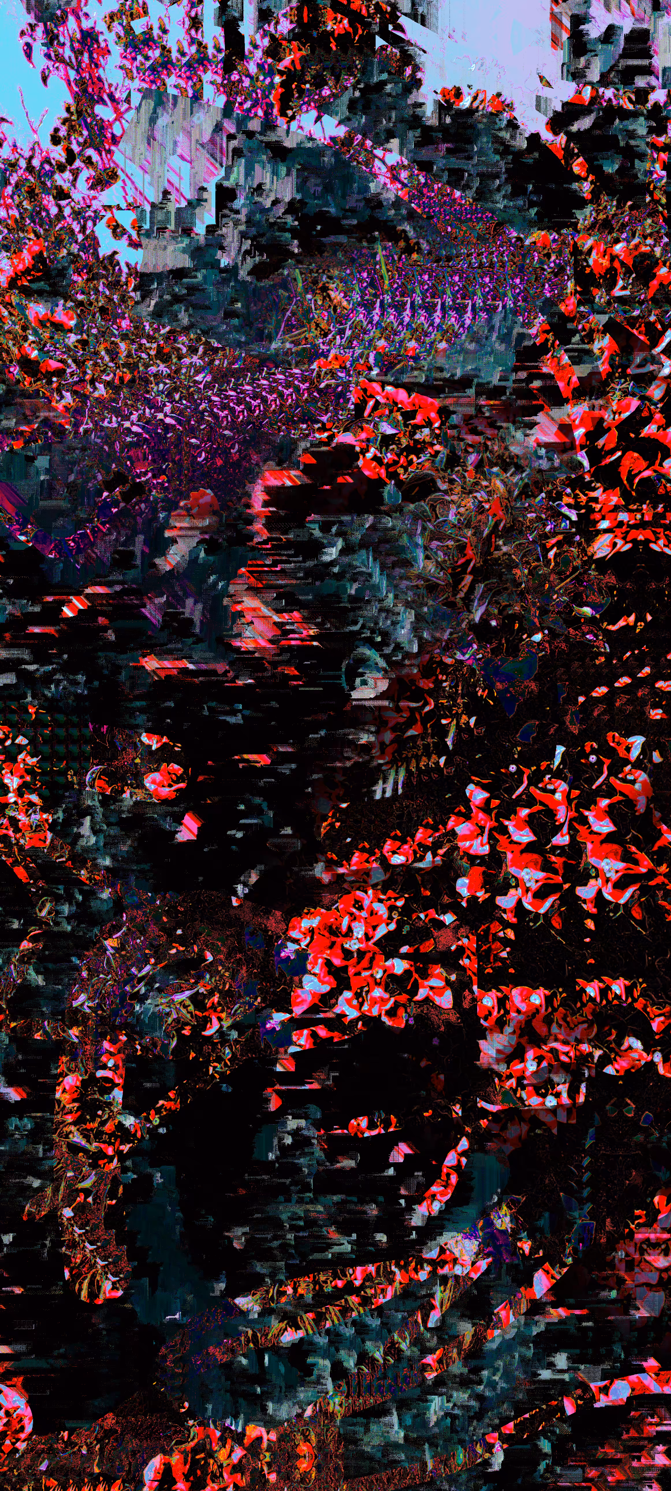 Flowers in my attic