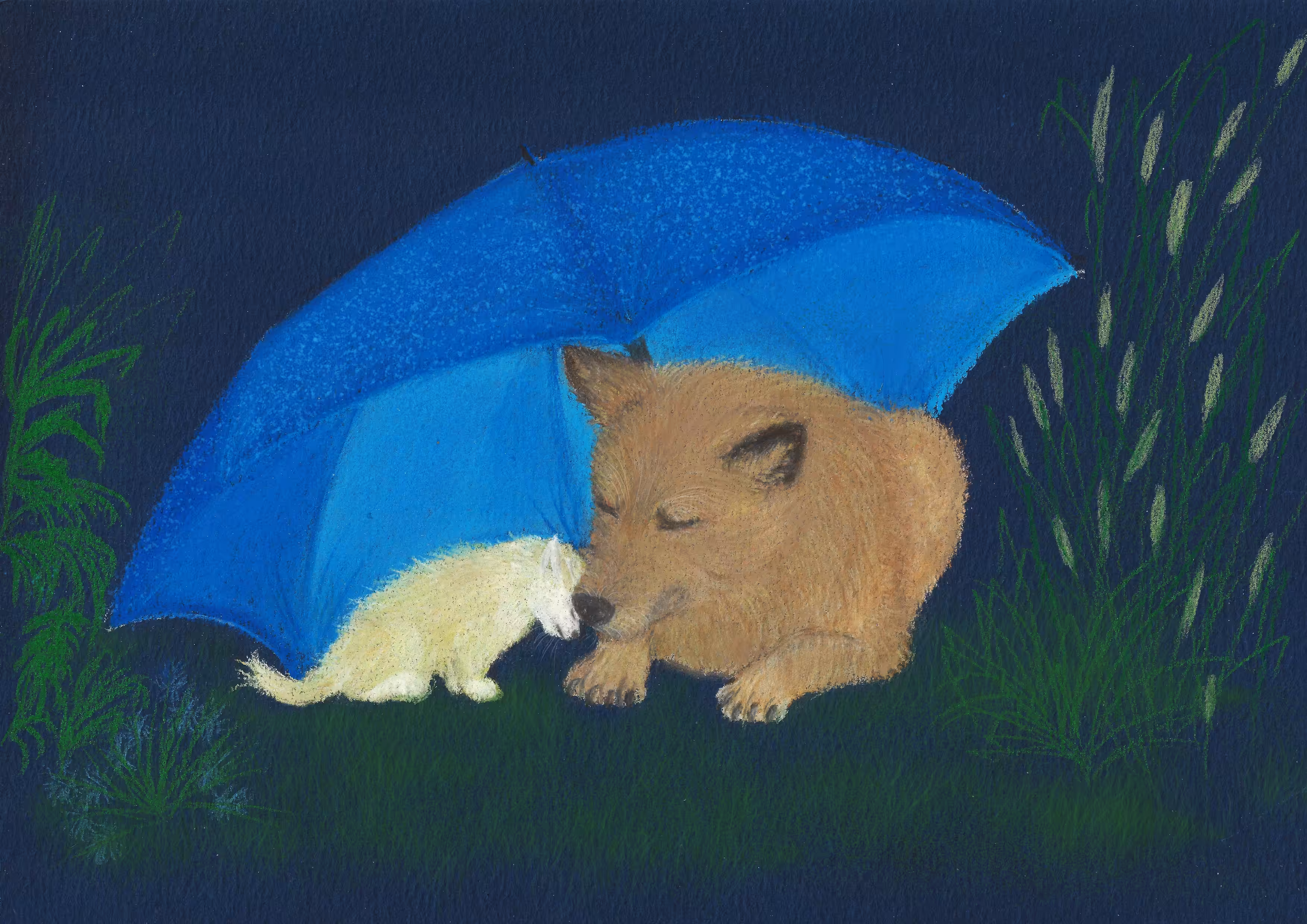 Umbrella