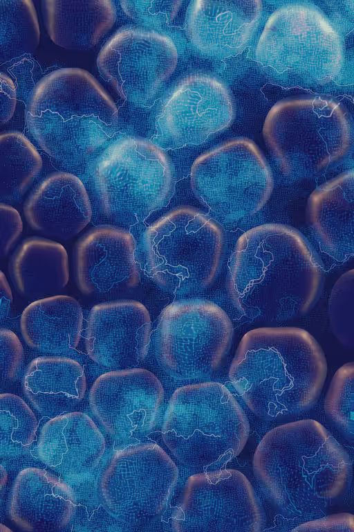 Vitreous #20