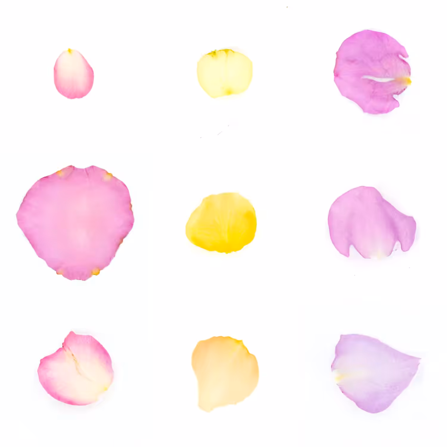 Infinite Petals 3x3#3085