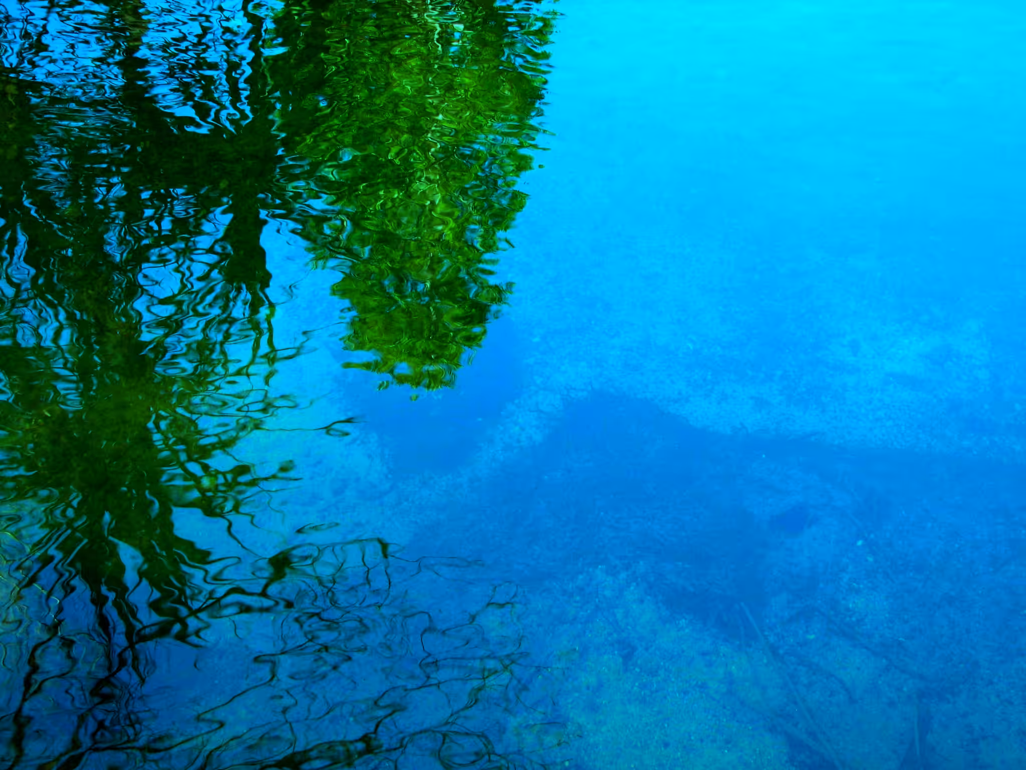 Where Water Learns to Paint