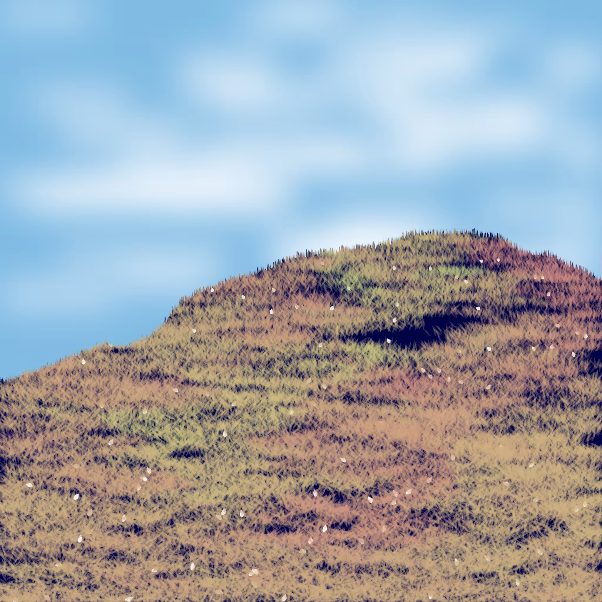 Grassy Knoll #2