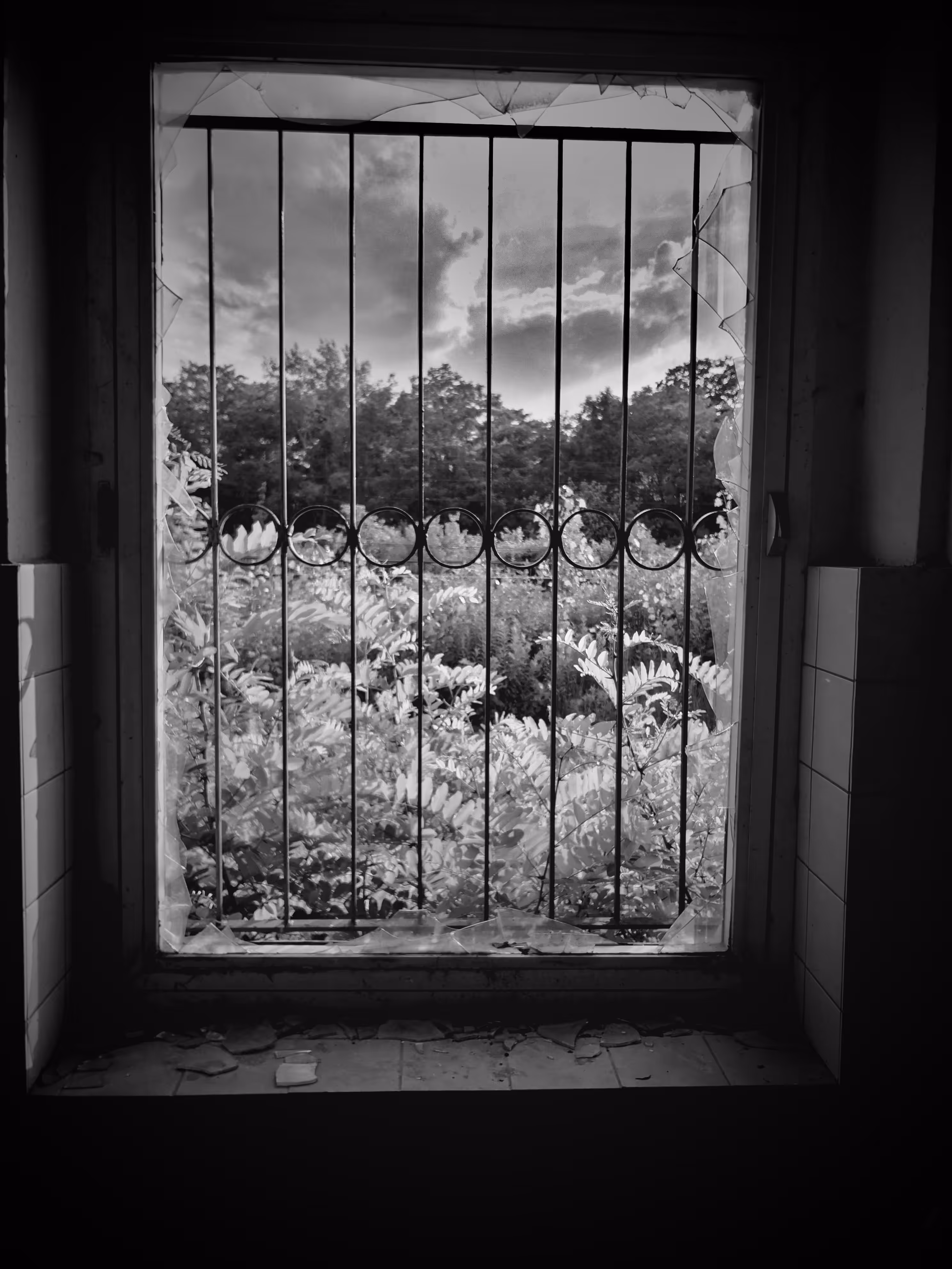 Prisoner