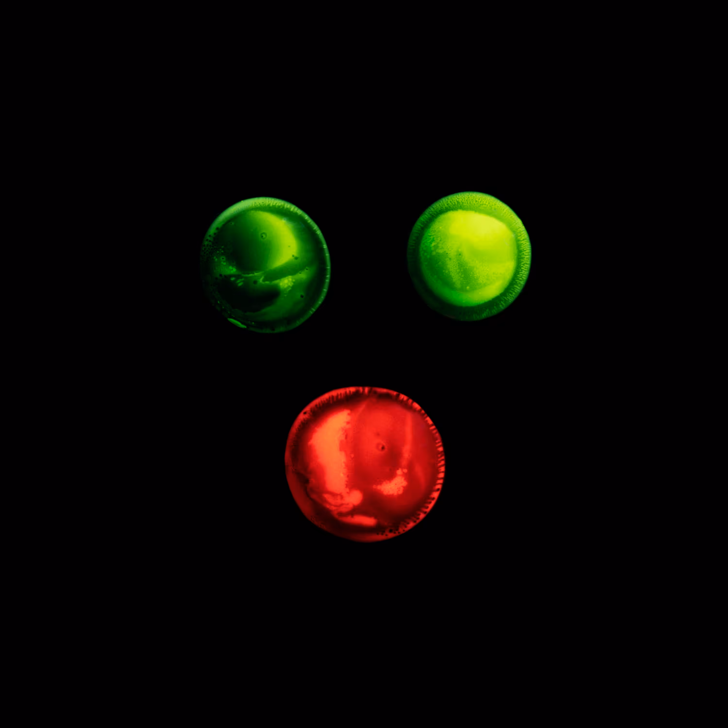 Haematopoiesis #131