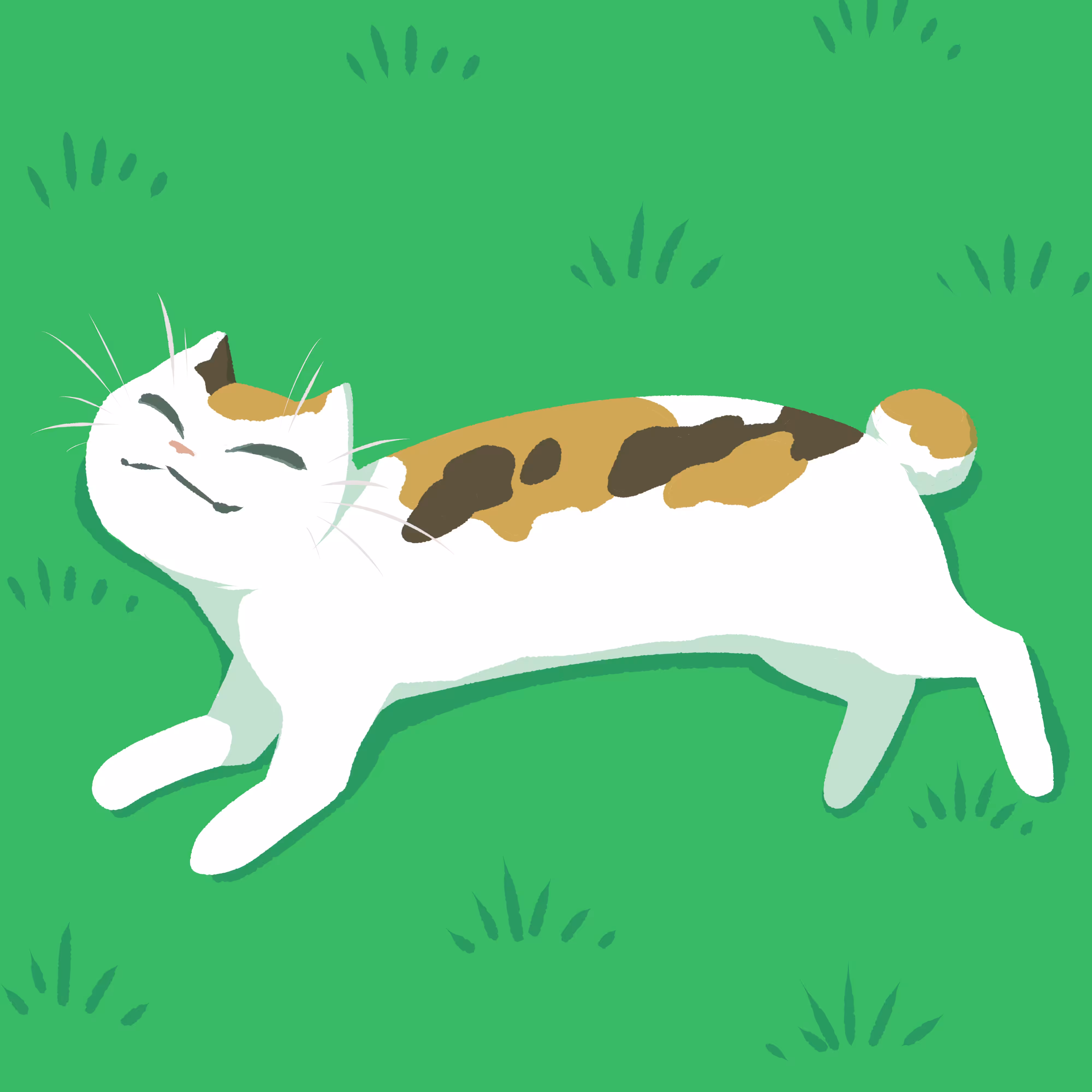 CAT #7 Napping Cat