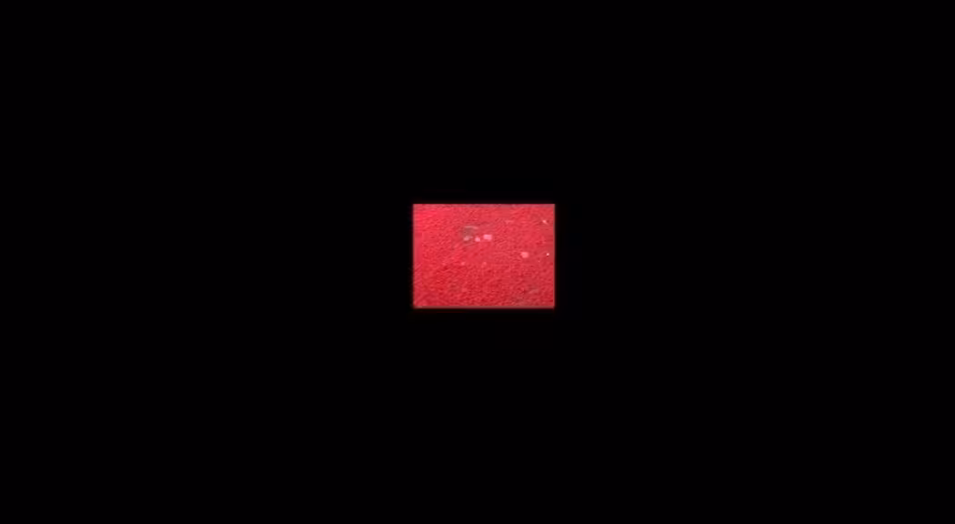 My Day Sounds - Phone & Siren