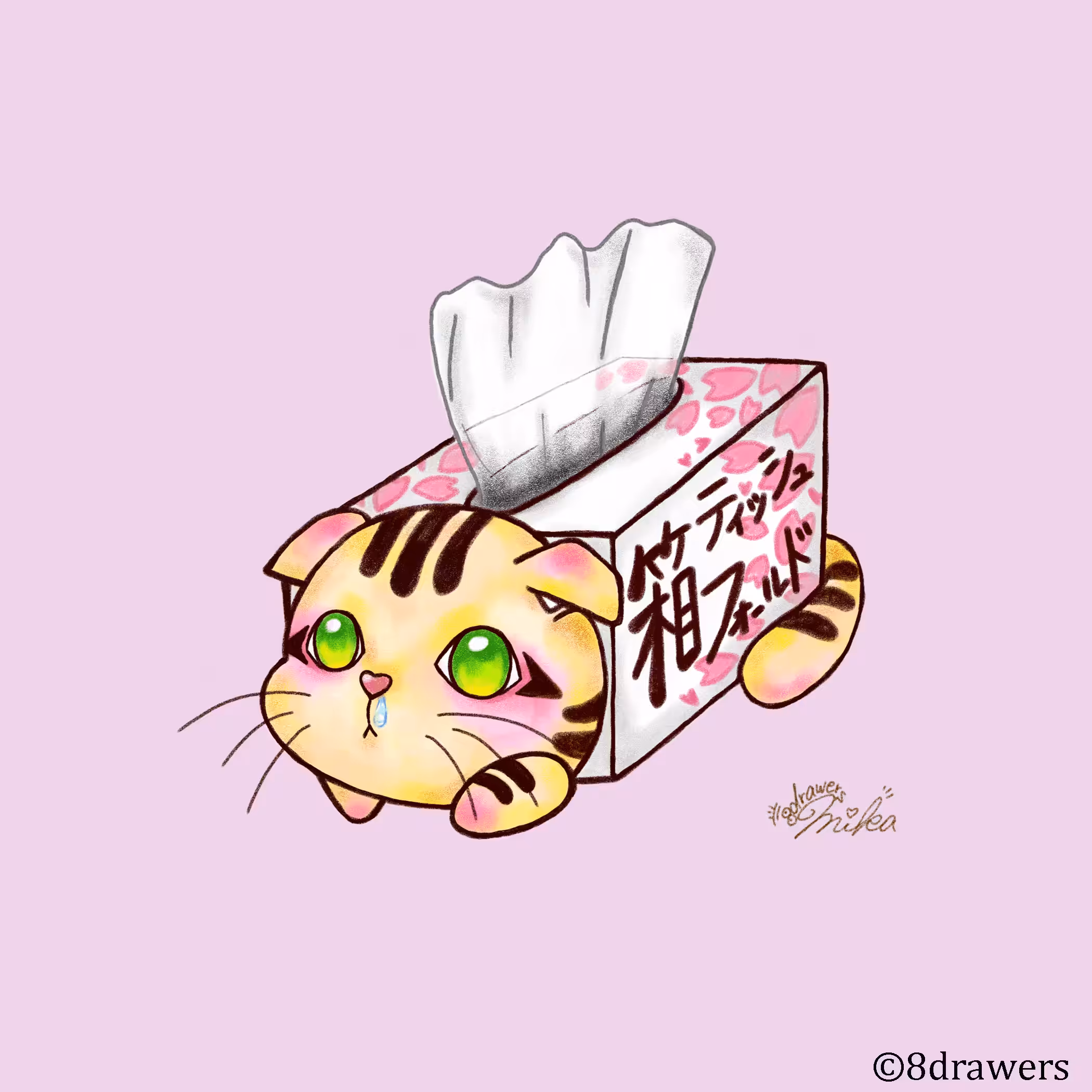 箱ティッシュフォールド