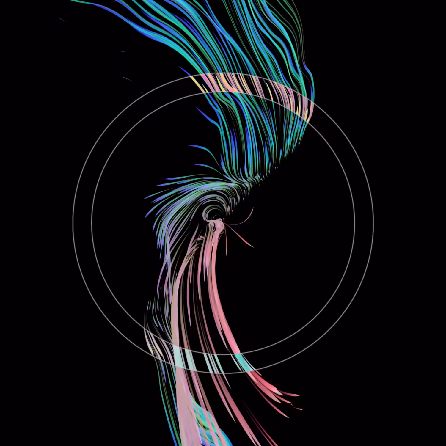 Vortex #923