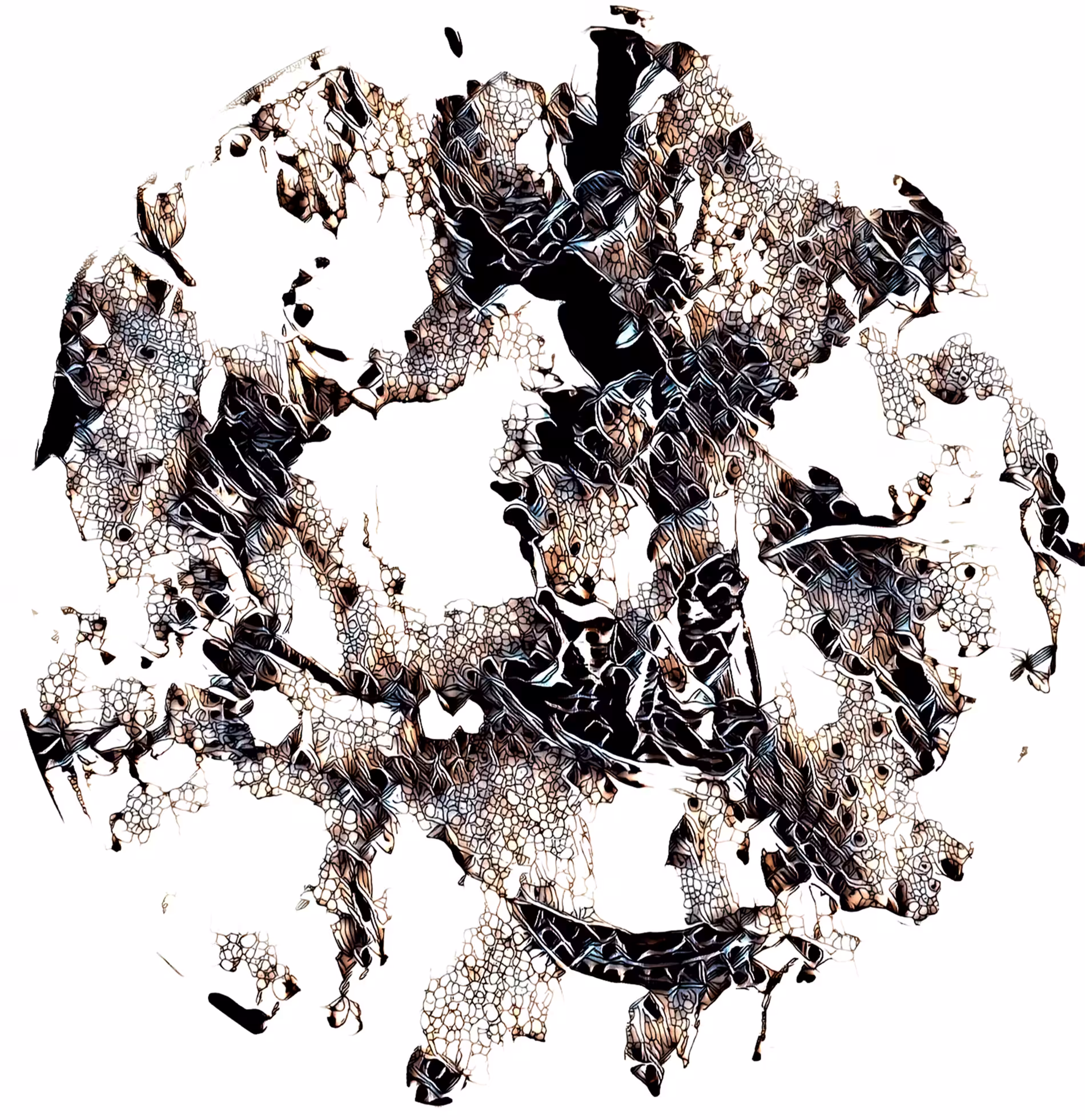 The Unbearable Lightness of the Spider GAN