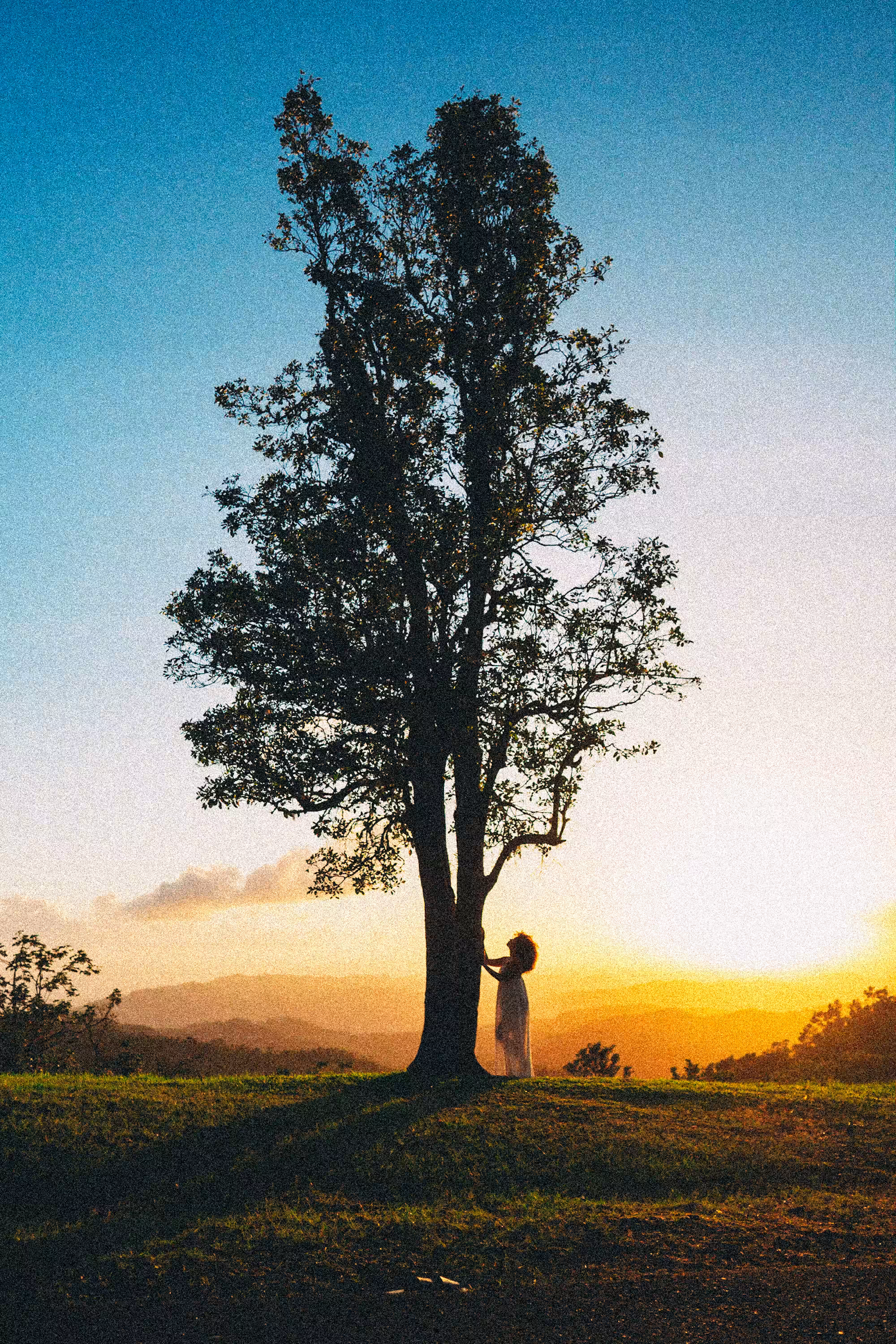 Resilience