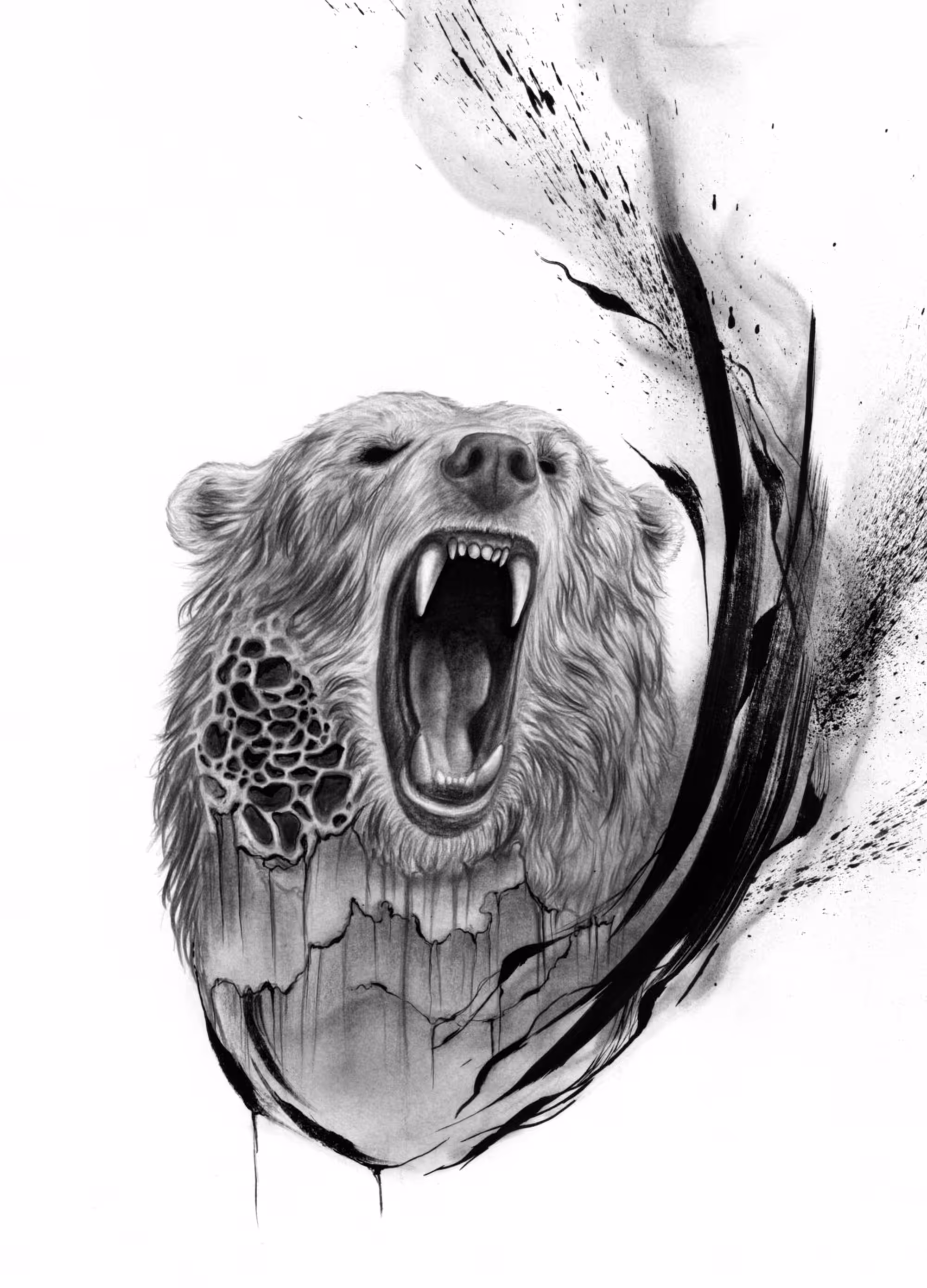 Echoes of the Wild