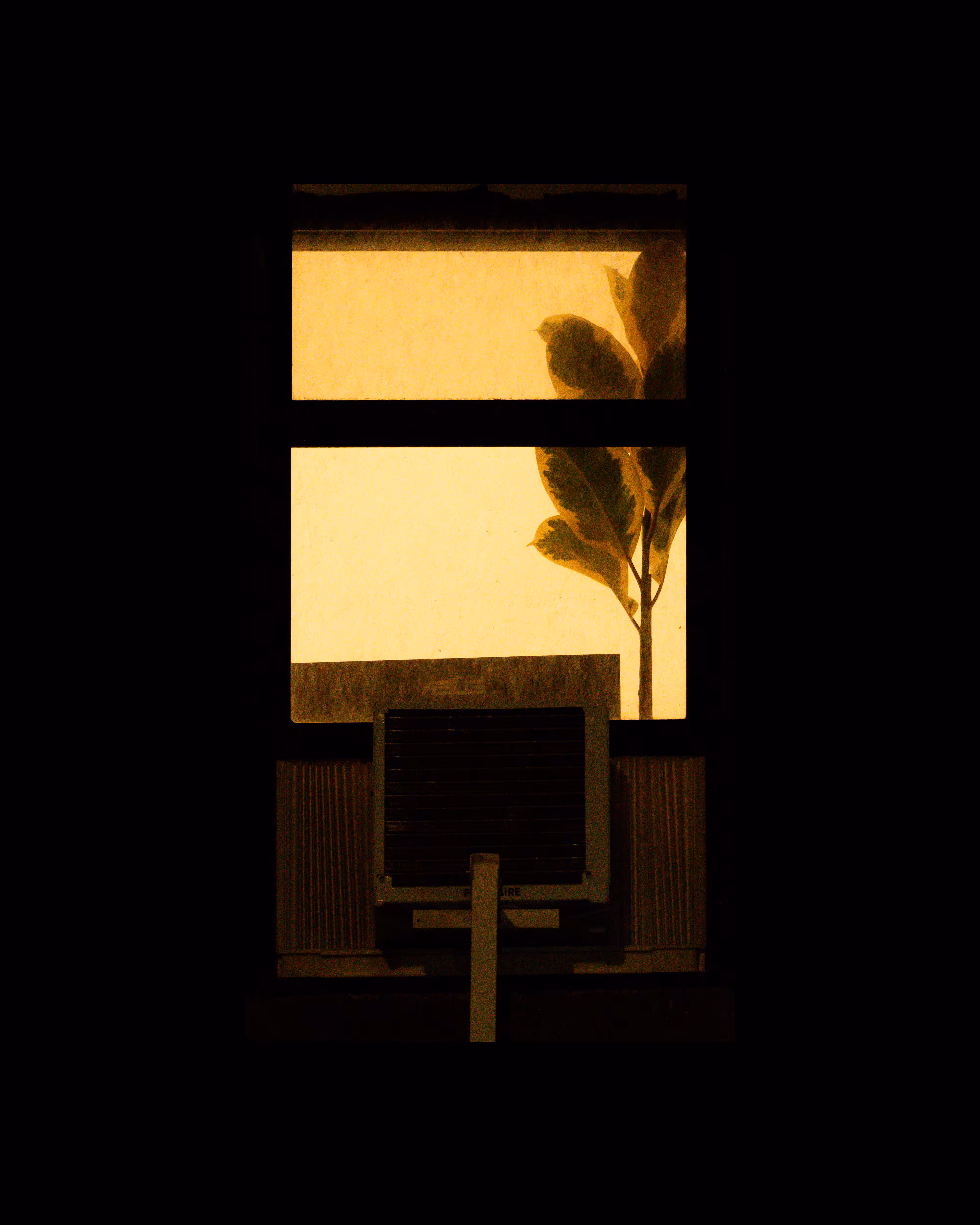 WINDOW 854