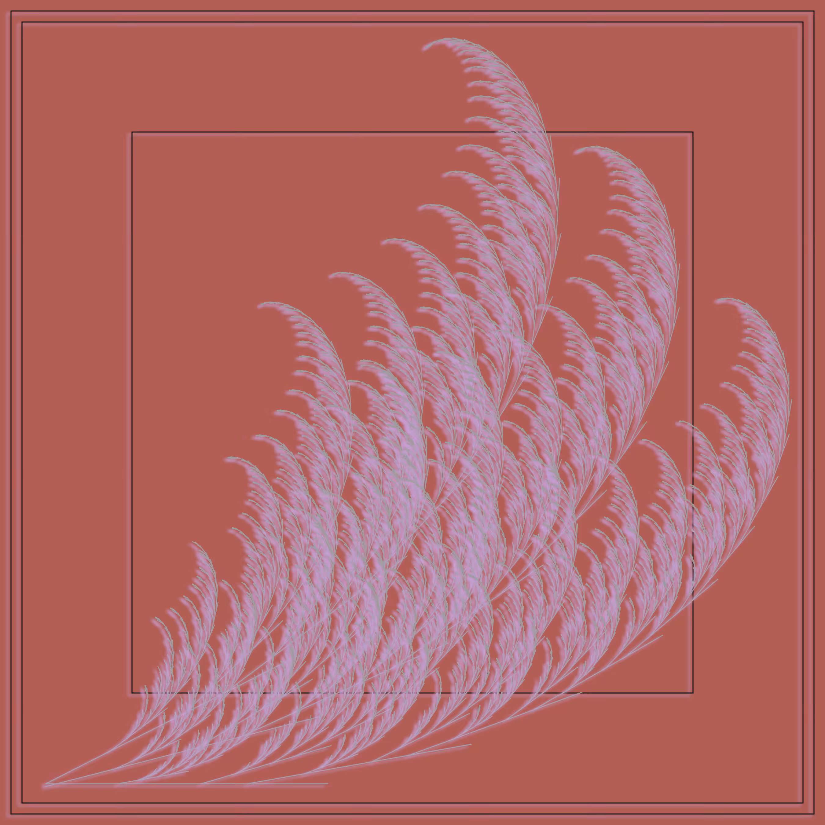Fern #3