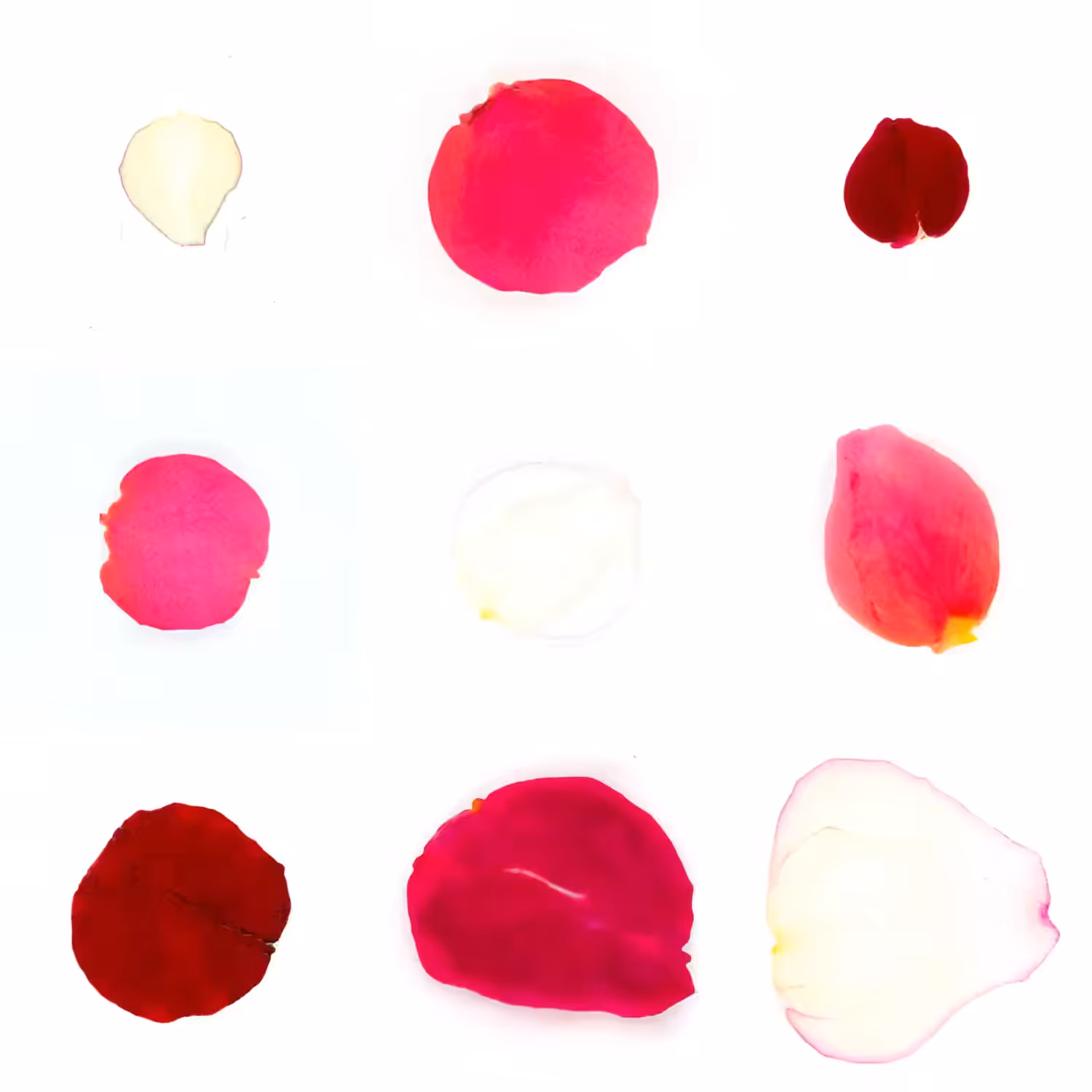 Infinite Petals 3x3#66