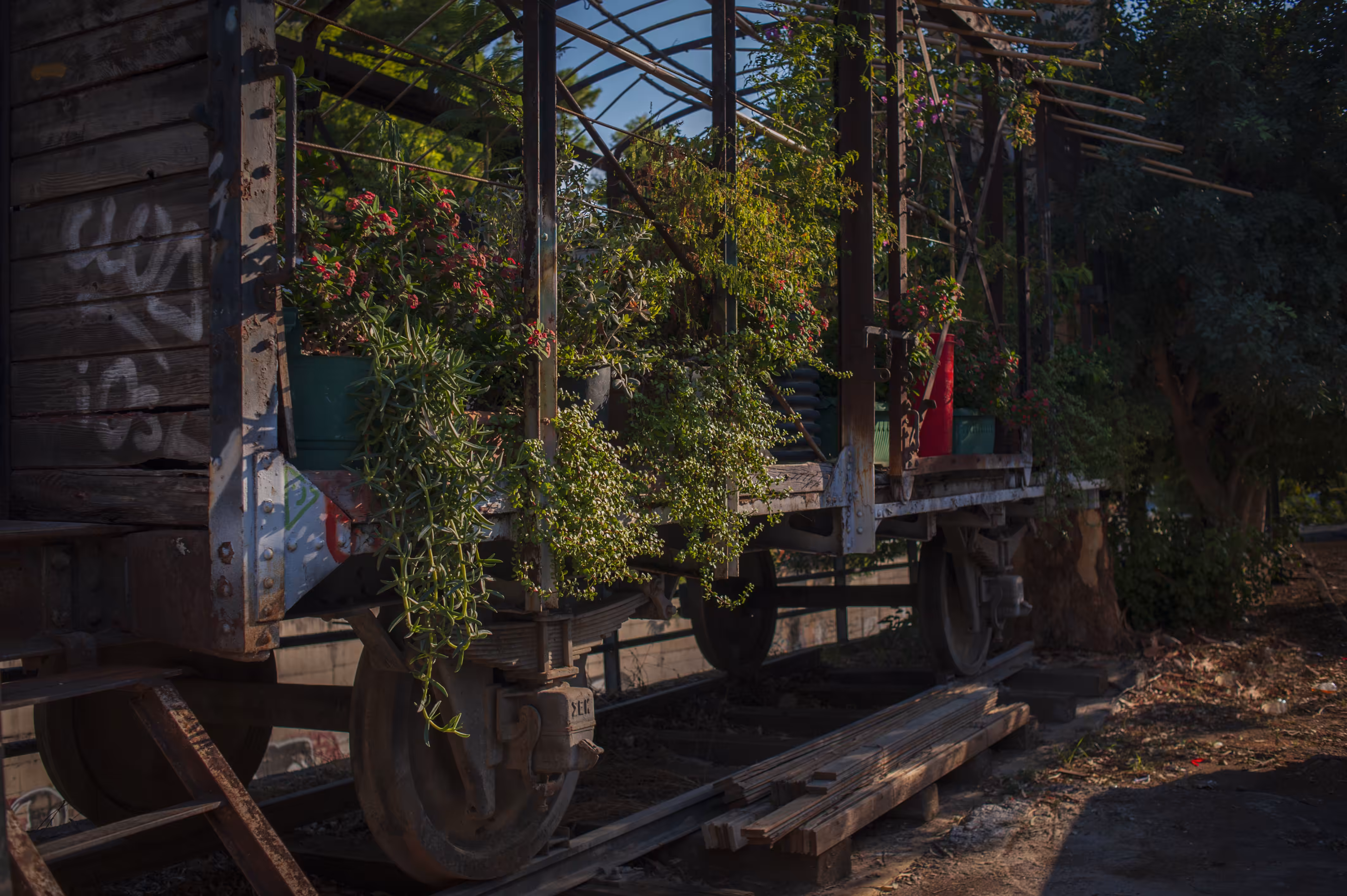 The Flower Train