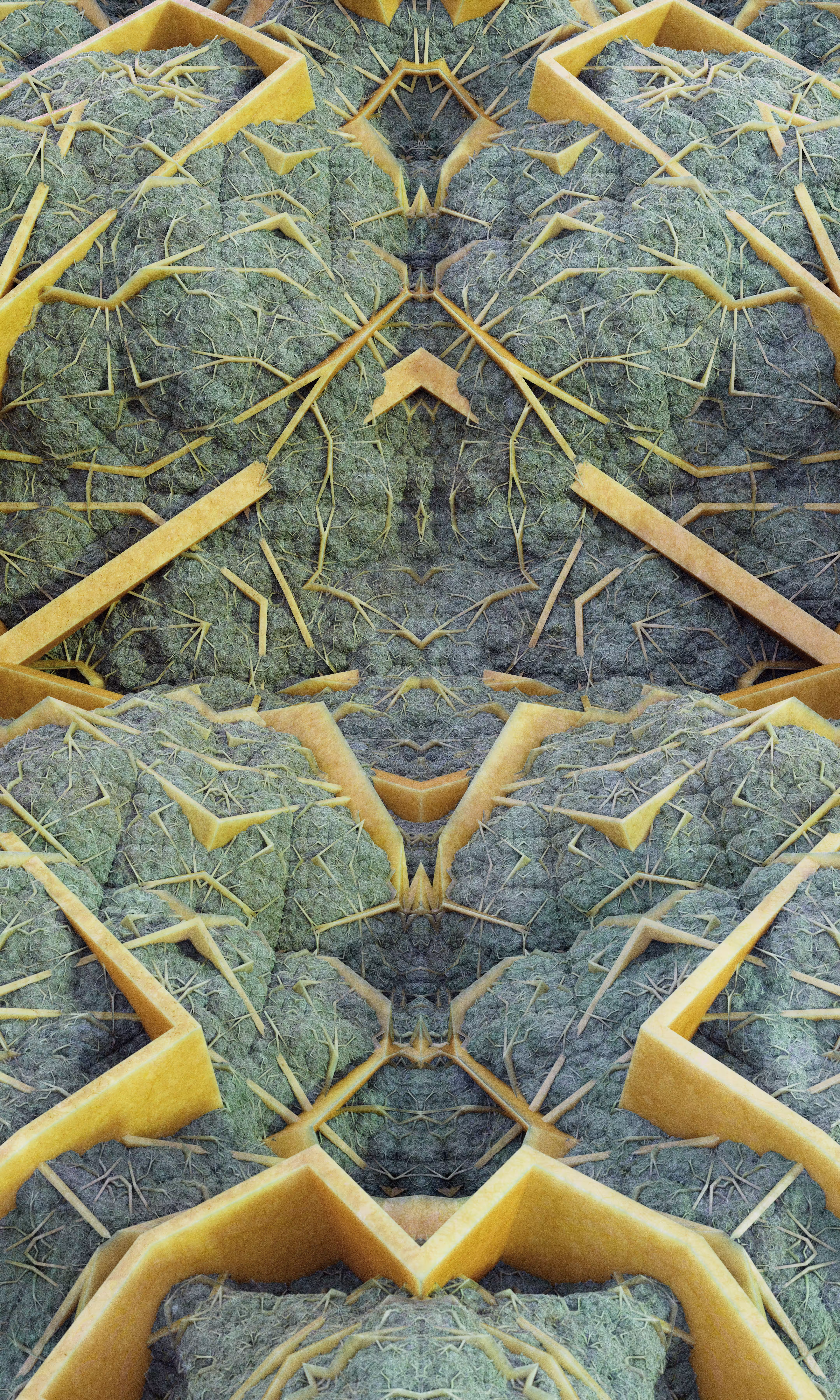 Plastic Metastasis III