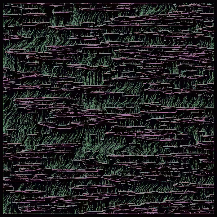 magical swamp #29