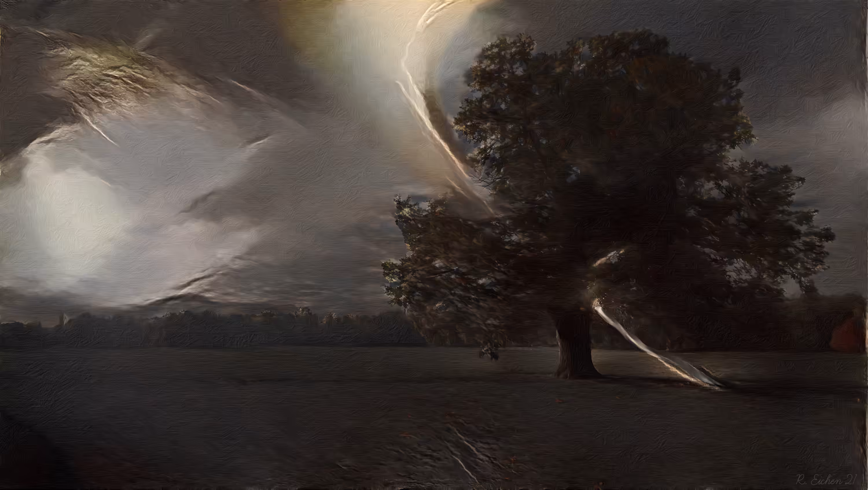 Tree split by lightning