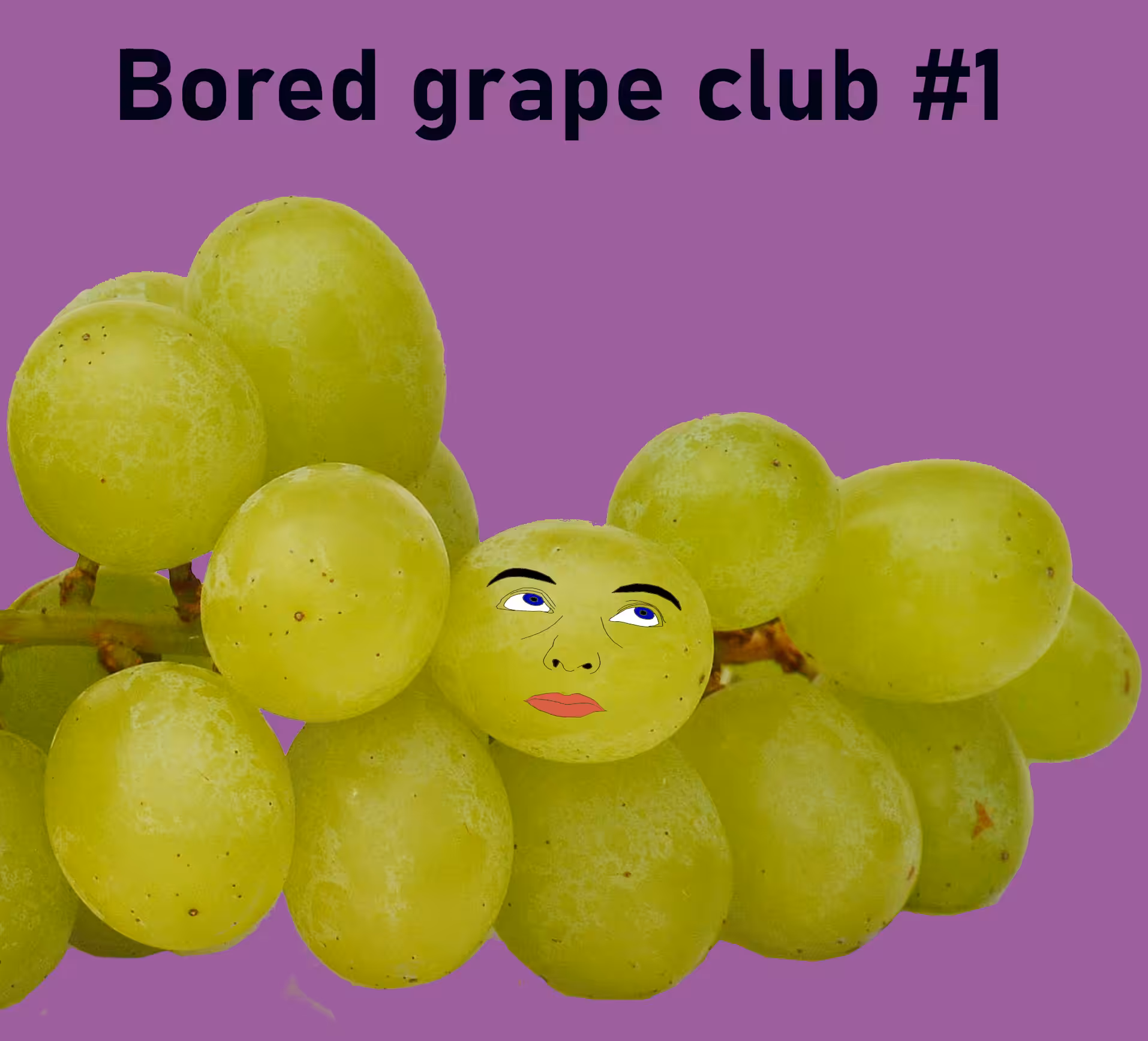 Bored grape club #1