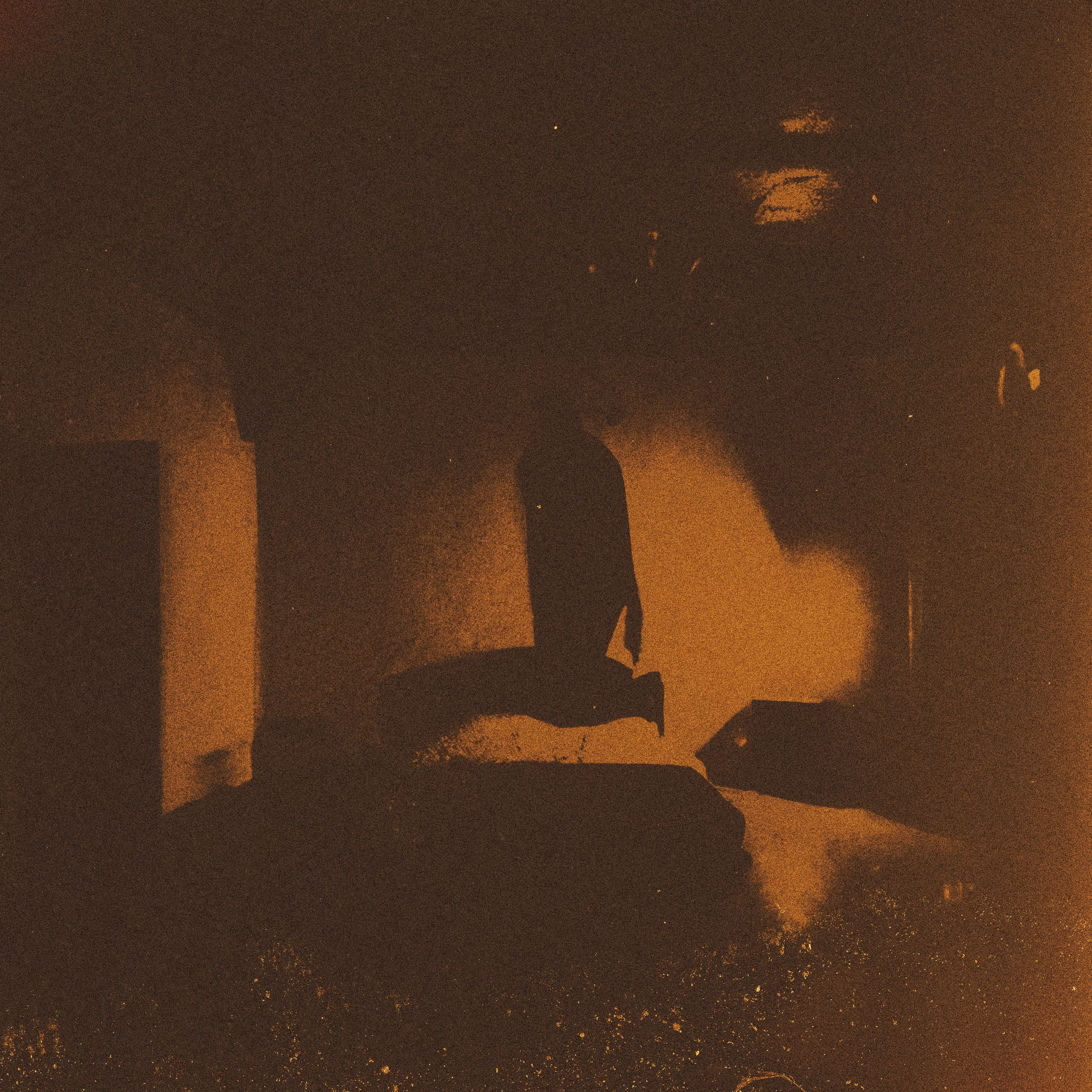 Hypnagogia #1