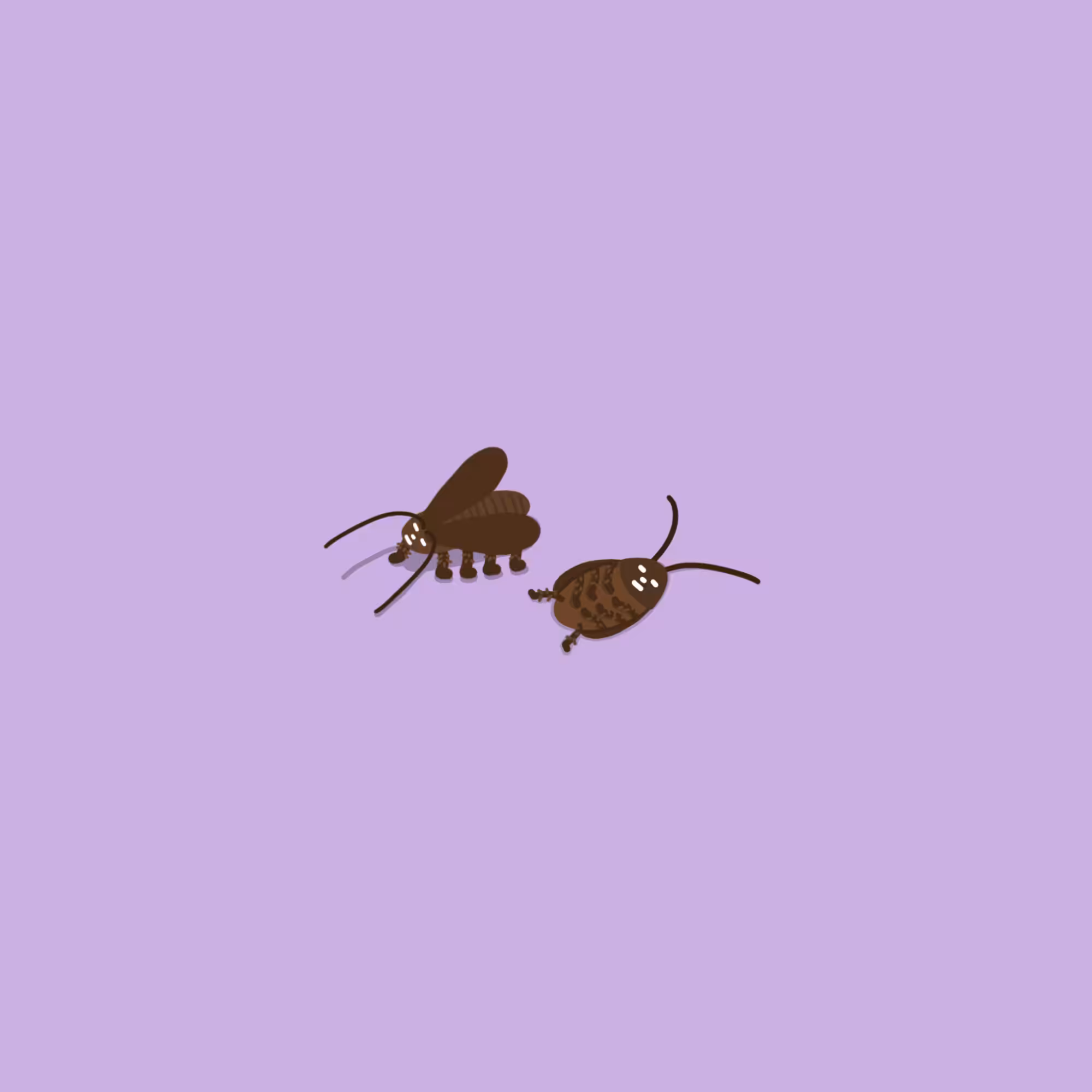 so-so zoo - animal 010