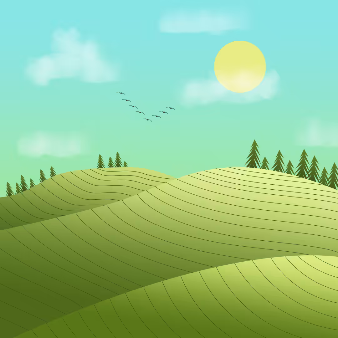 Tea Fields
