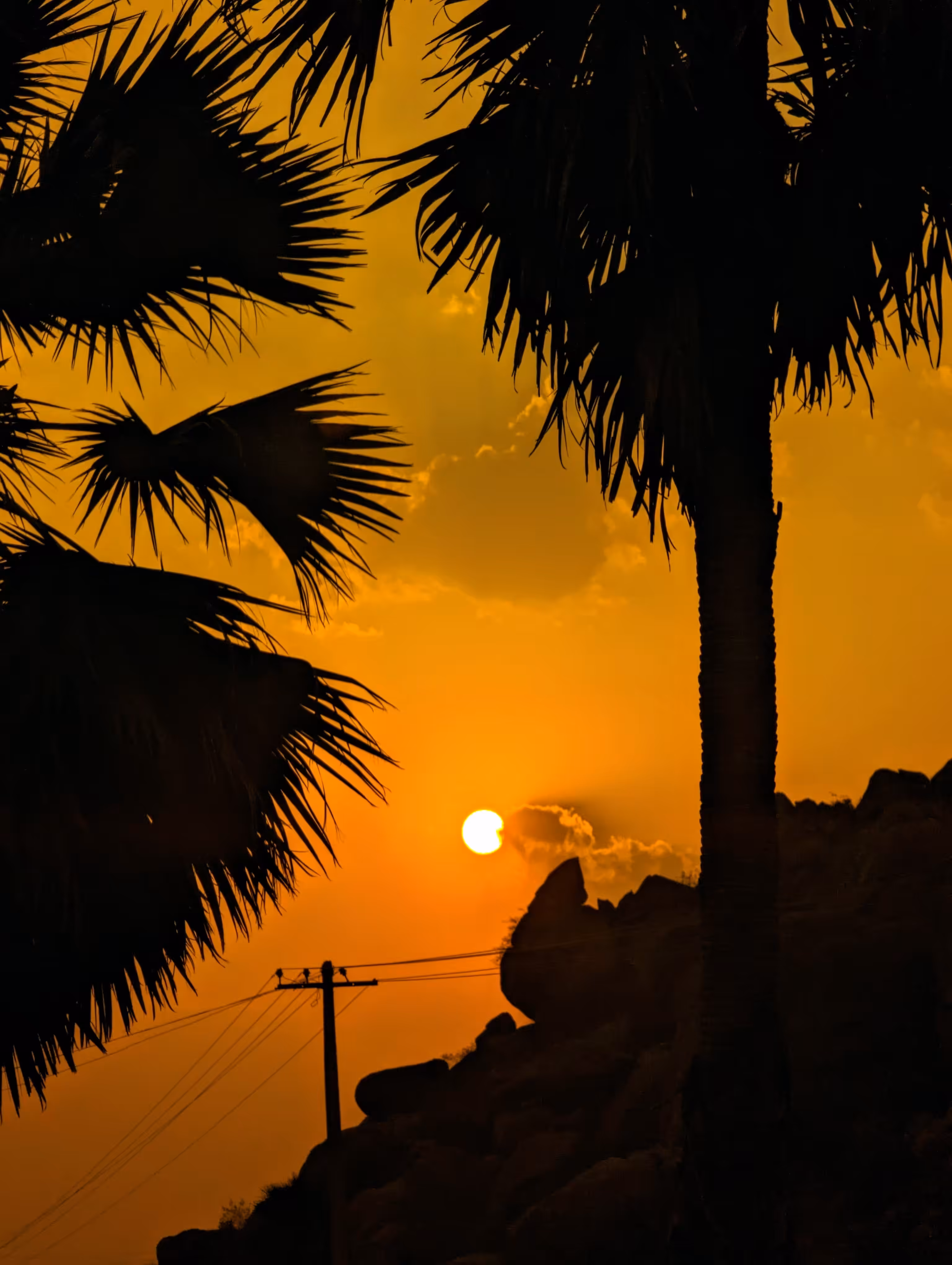 Golden Horizon