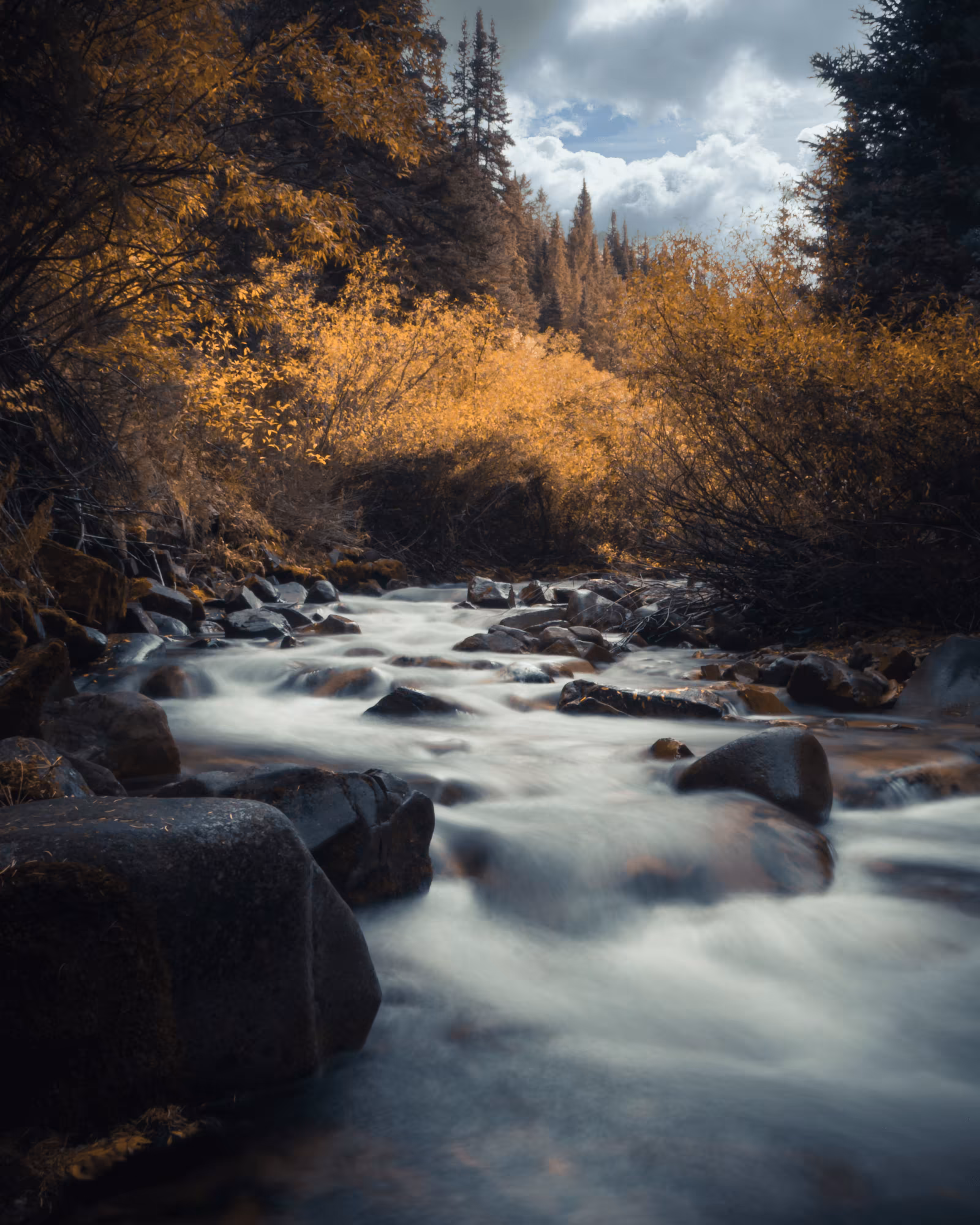 Aspen
