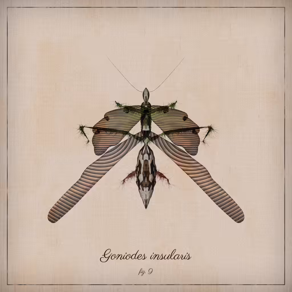 ProcGen Entomology #384