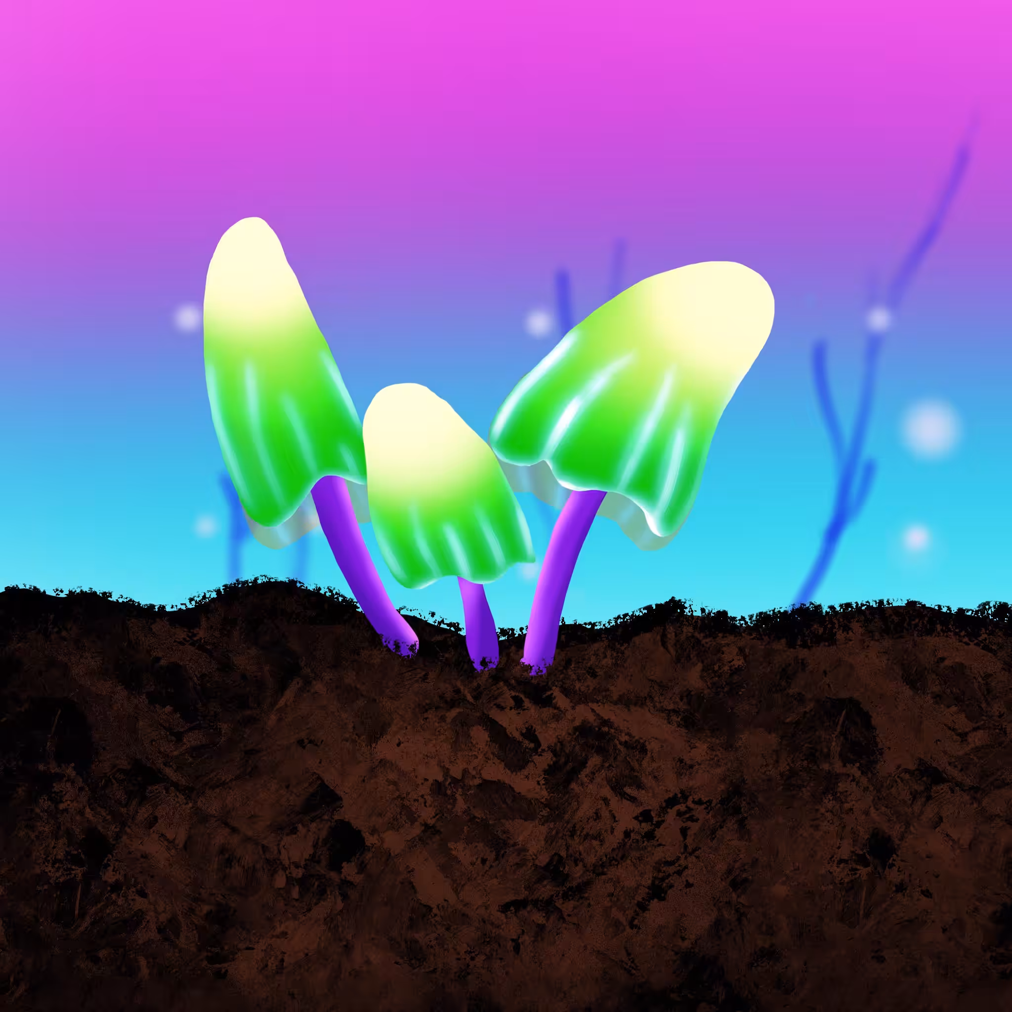Fungi