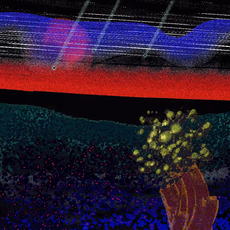 Ceshan's Psychedelics #356