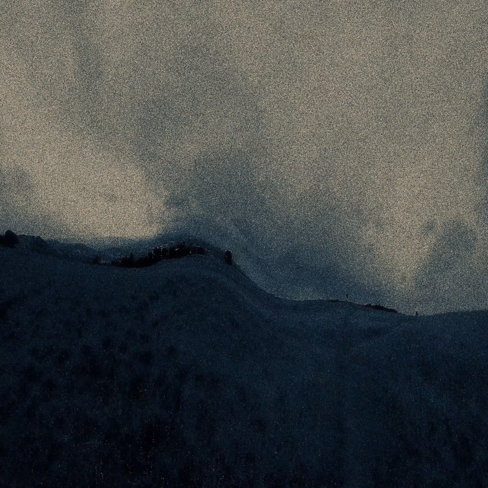 The Lonely Tree