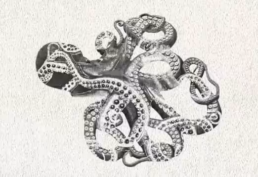 octopus