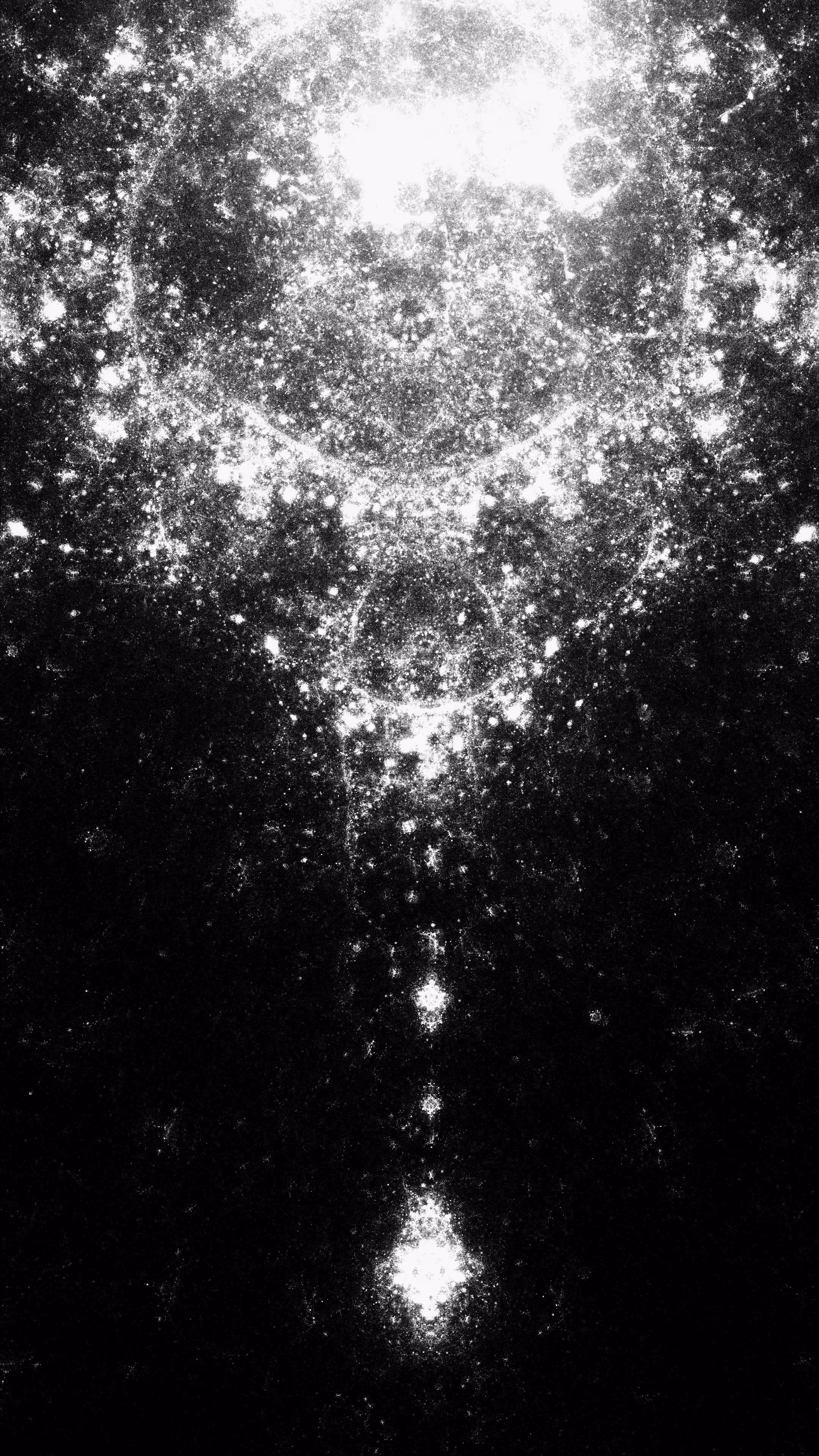 Circle Inversion #5