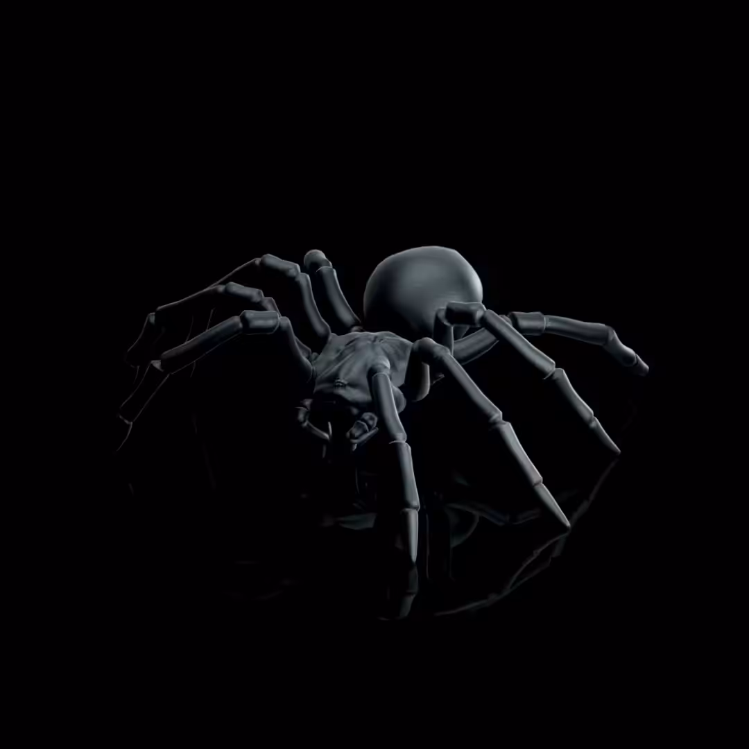 Black Spider