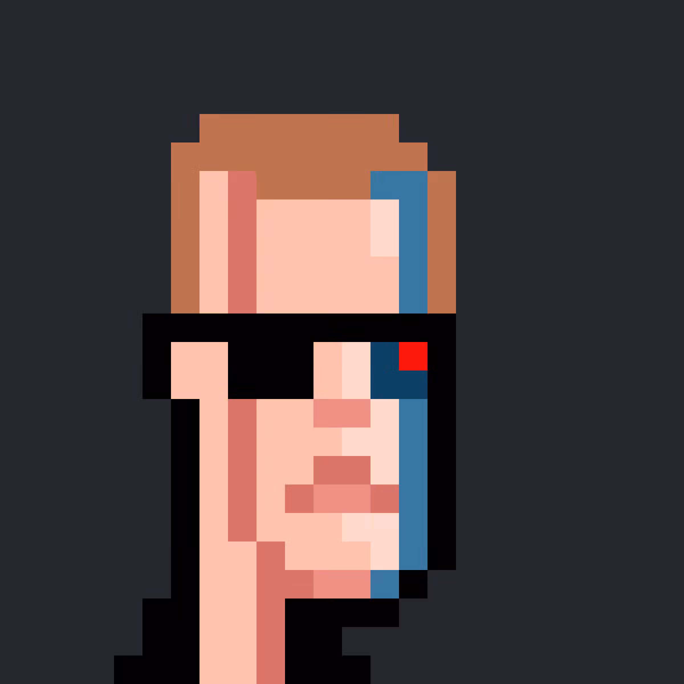 Terminator Punk