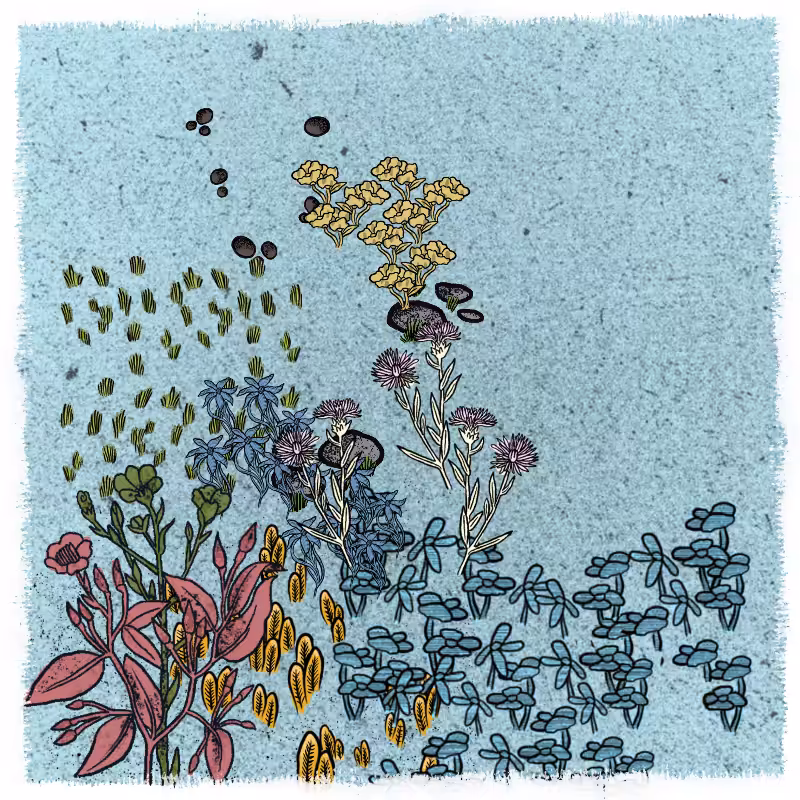 Gardens  #10