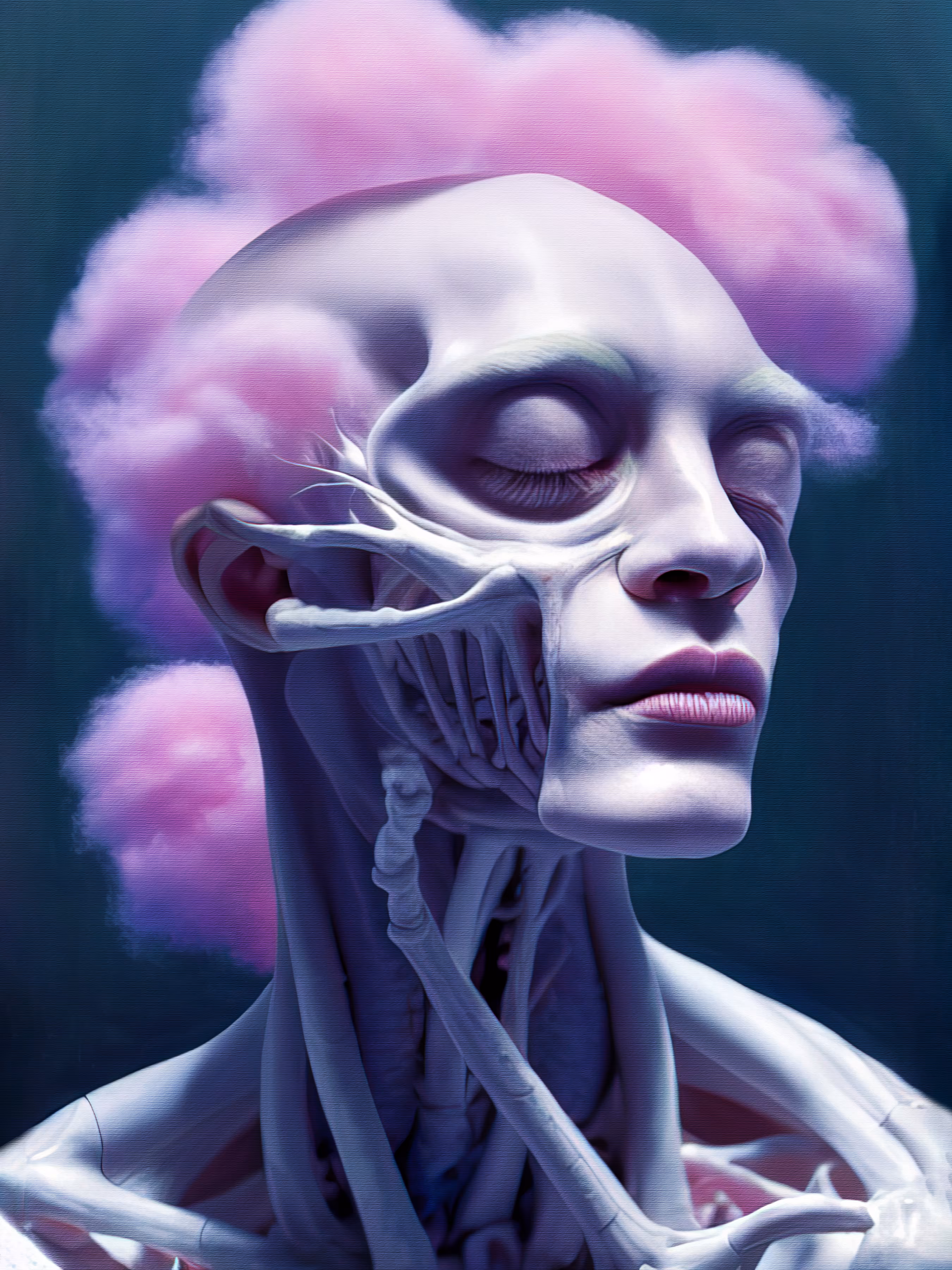 Anatomical Study 37.0